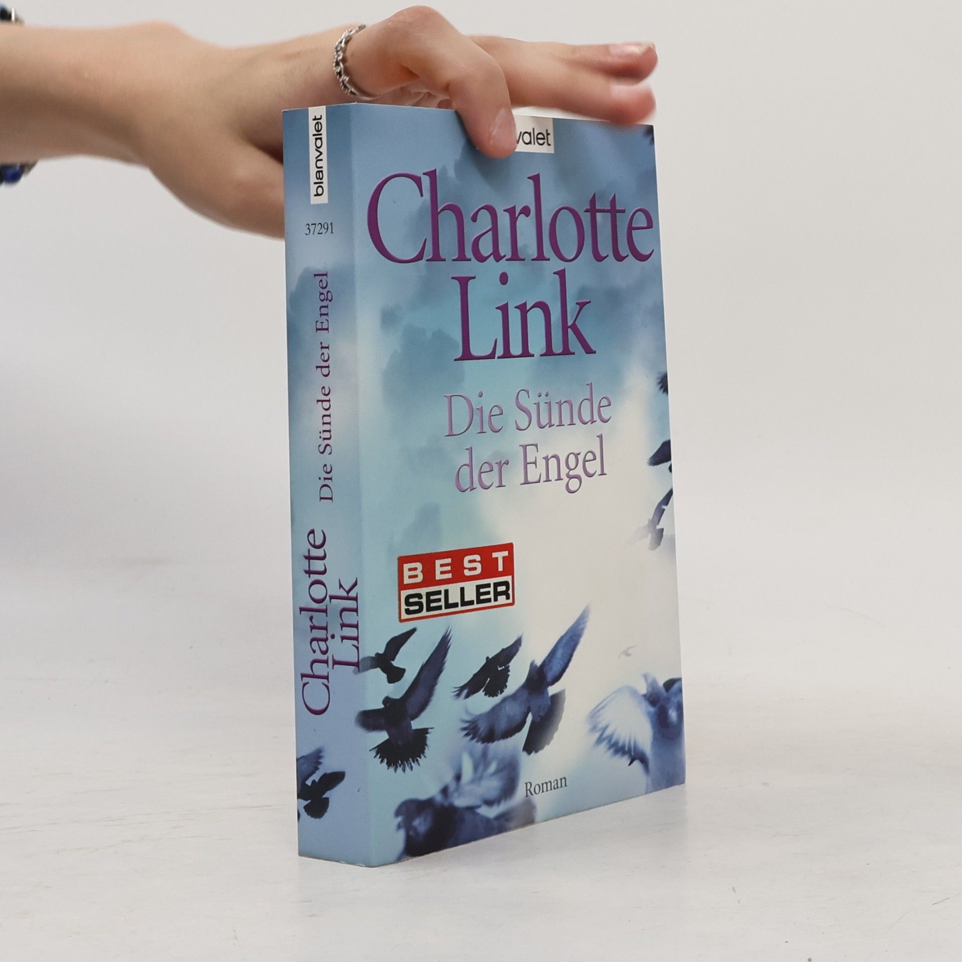 Charlotte Link Die Sünde der Engel
