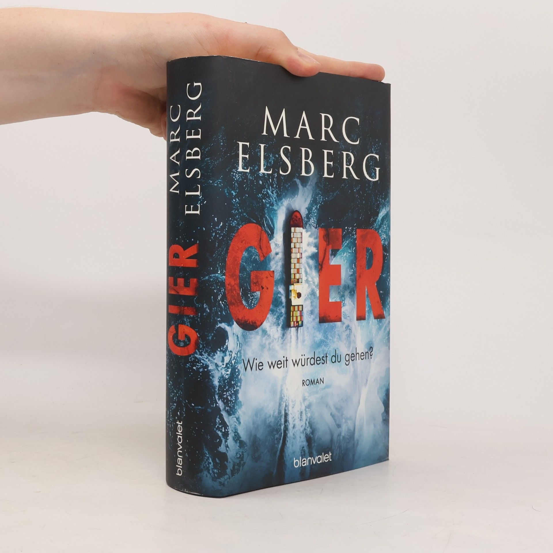 Marc Elsberg Gier