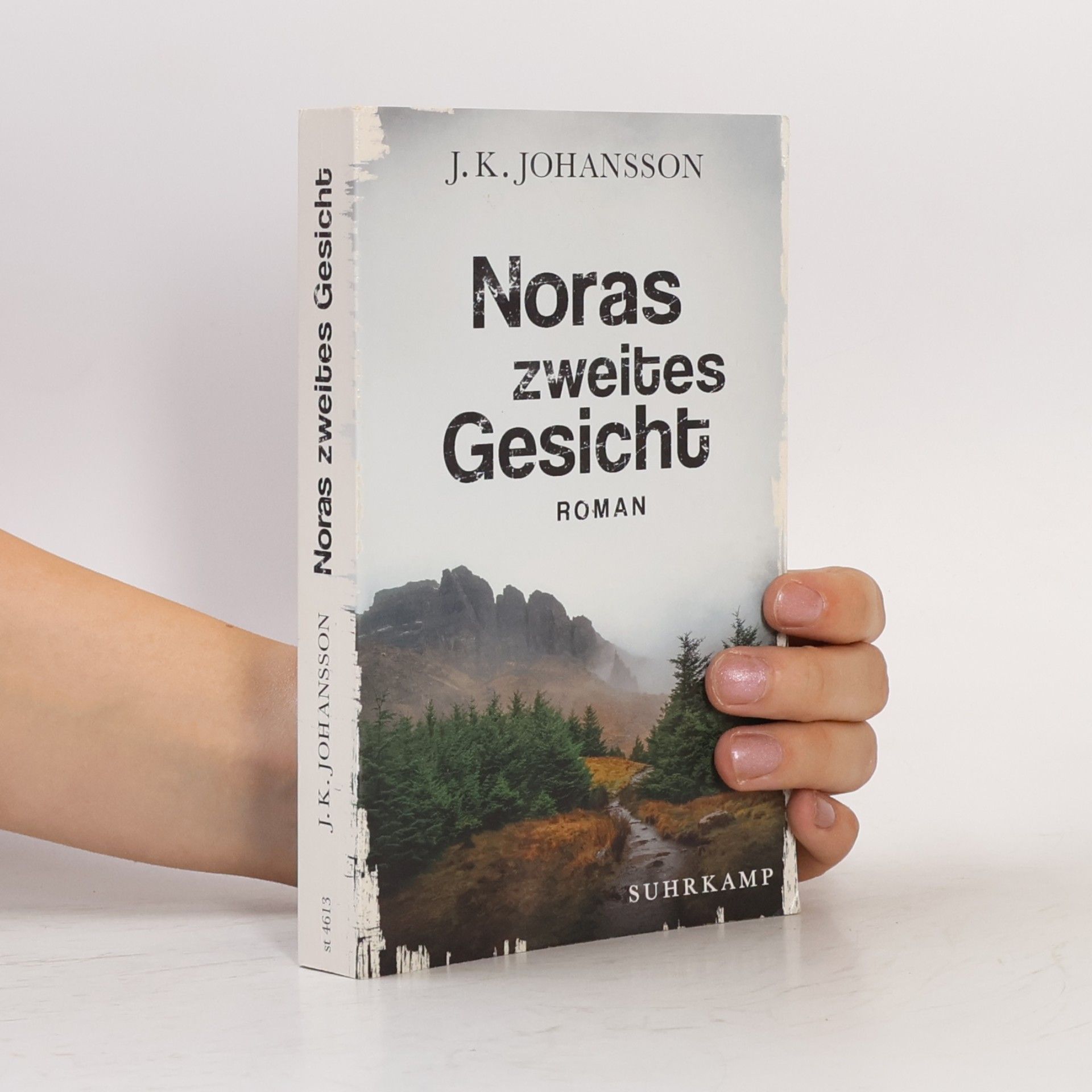J. K. Johansson Noras zweites Gesicht