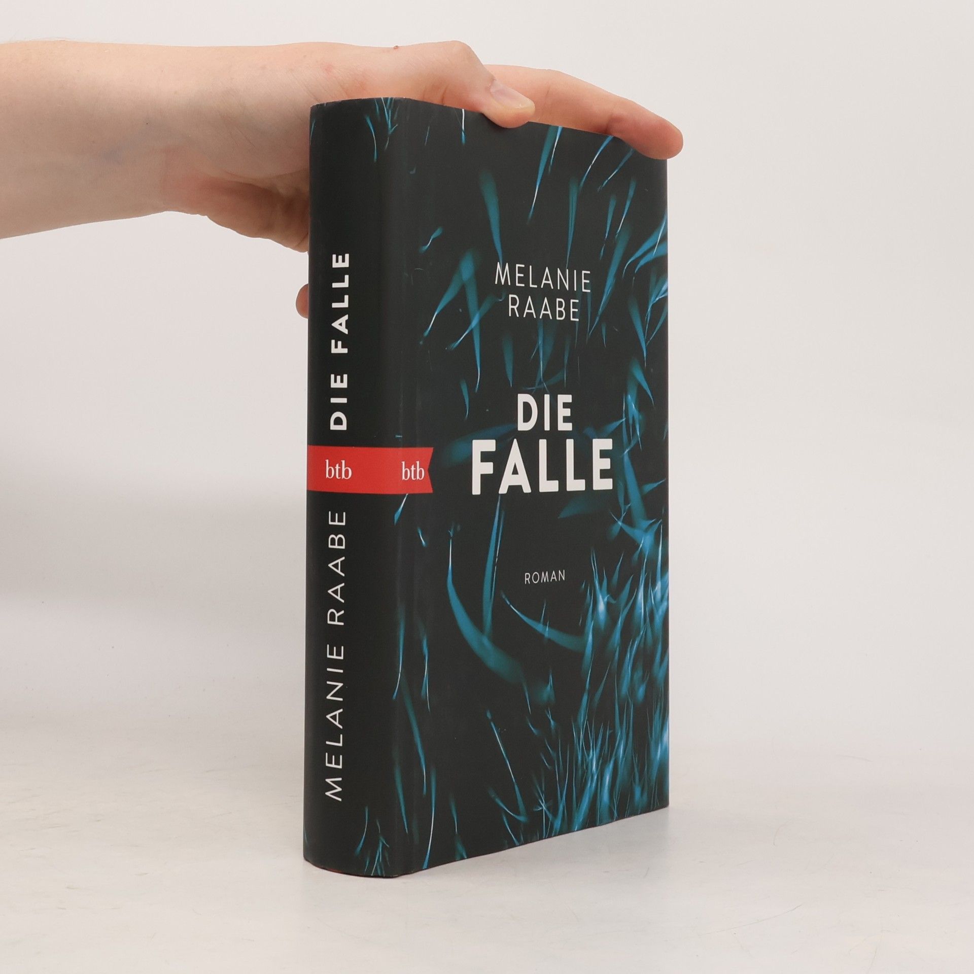Melanie Raabe Die Falle