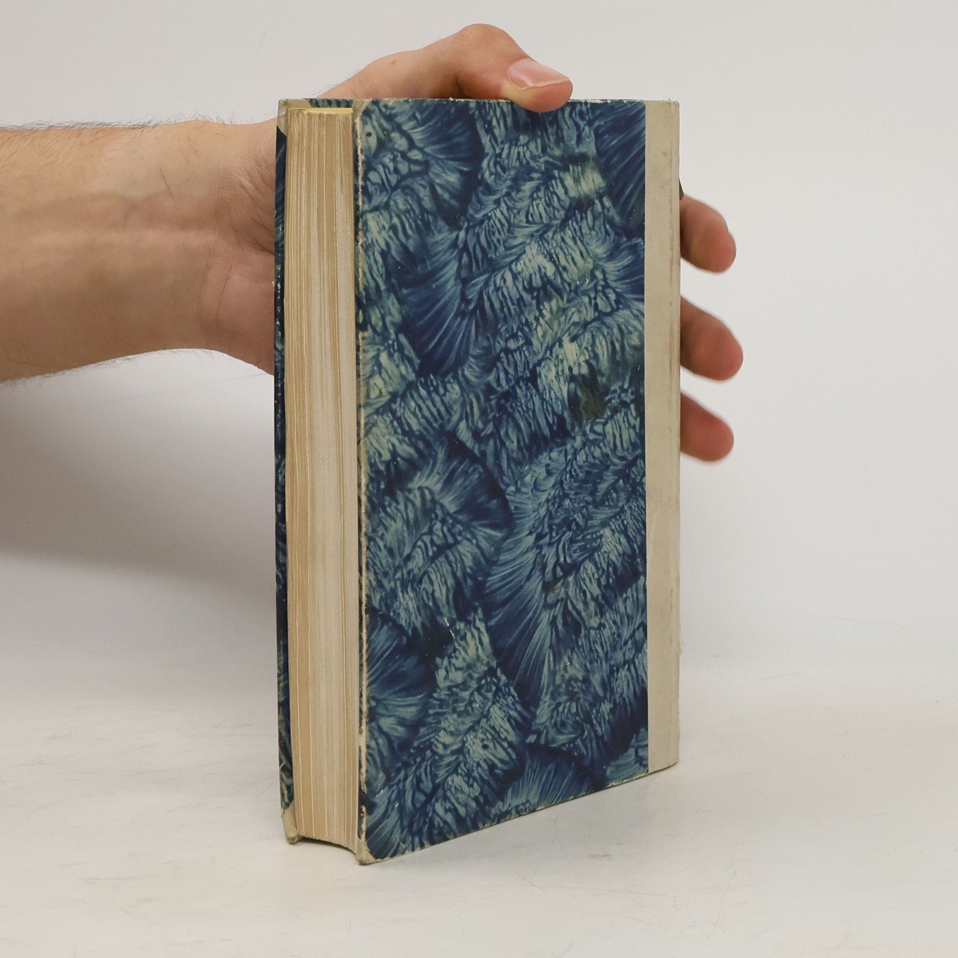 Gobineau Arthur de Die Renaissance. Historische Szenen