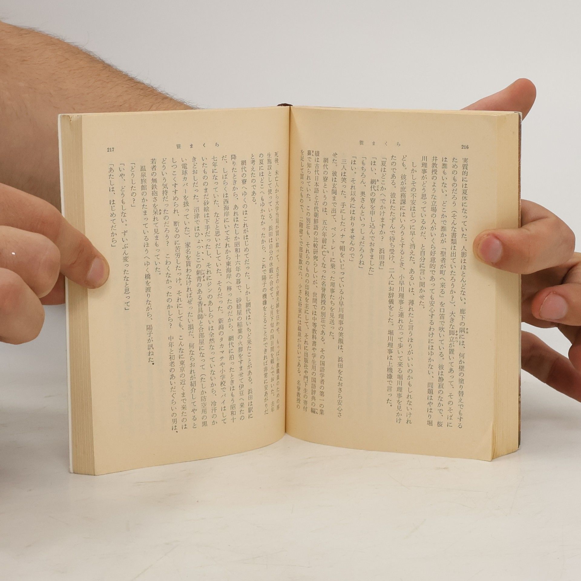 Katsuichirō Maruya 笹まくら Sasamakura