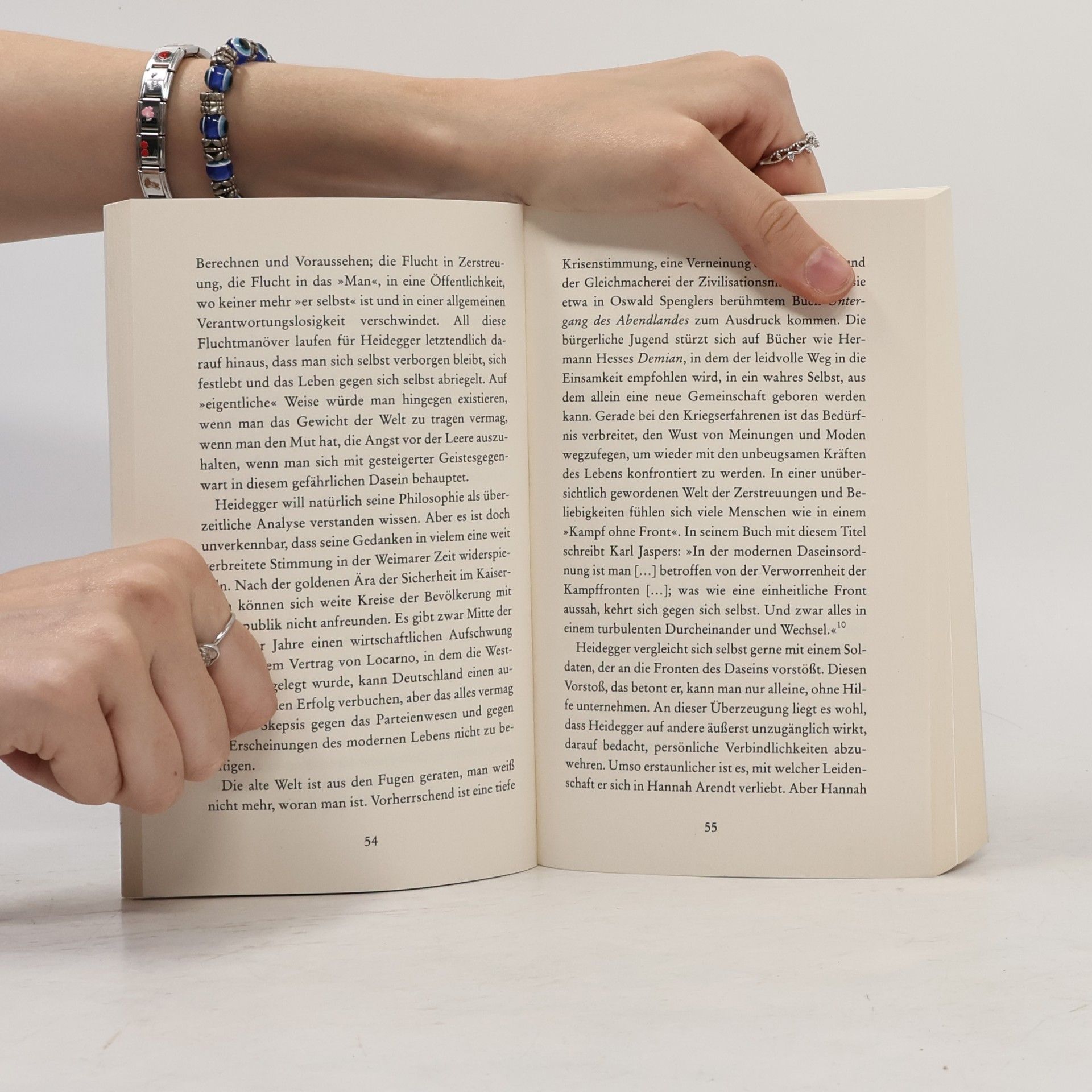 Alois Prinz Hannah Arendt oder Die Liebe zur Welt