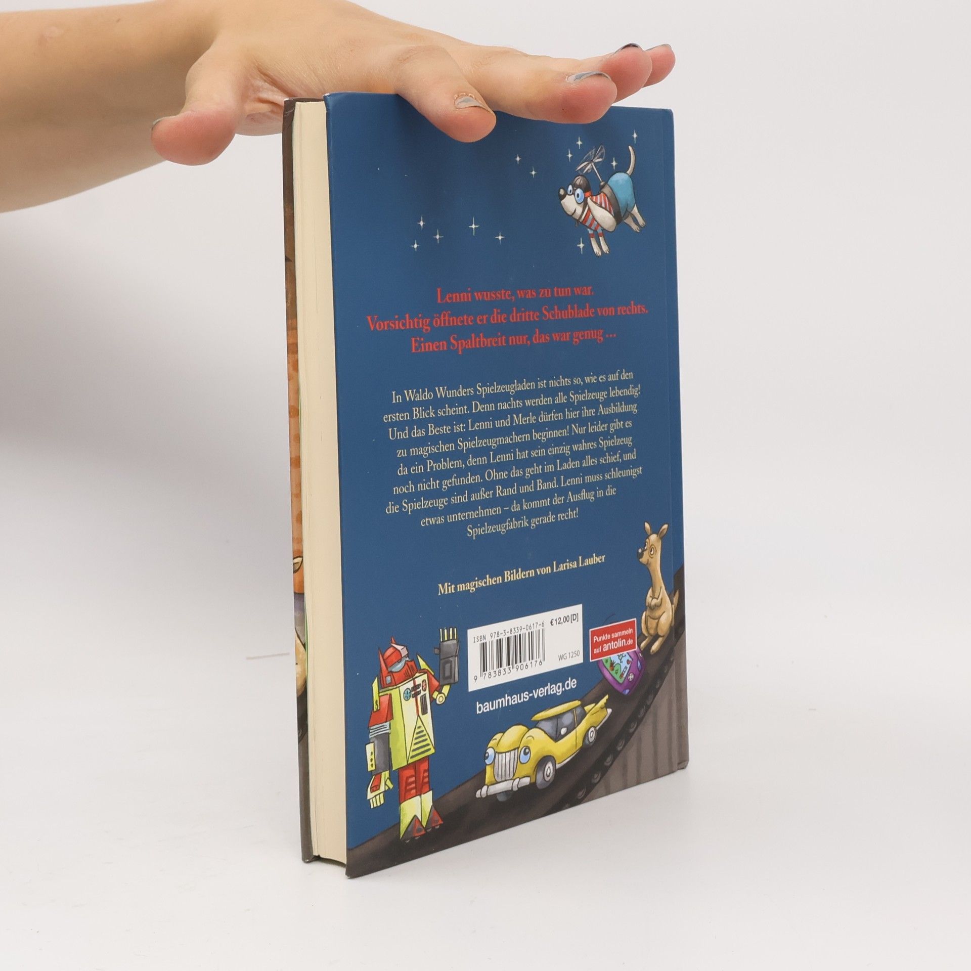 Anne Scheller Waldo Wunders fantastischer Spielzeugladen - Wo Wünsche wahr werden / Waldo Wunder Bd.2