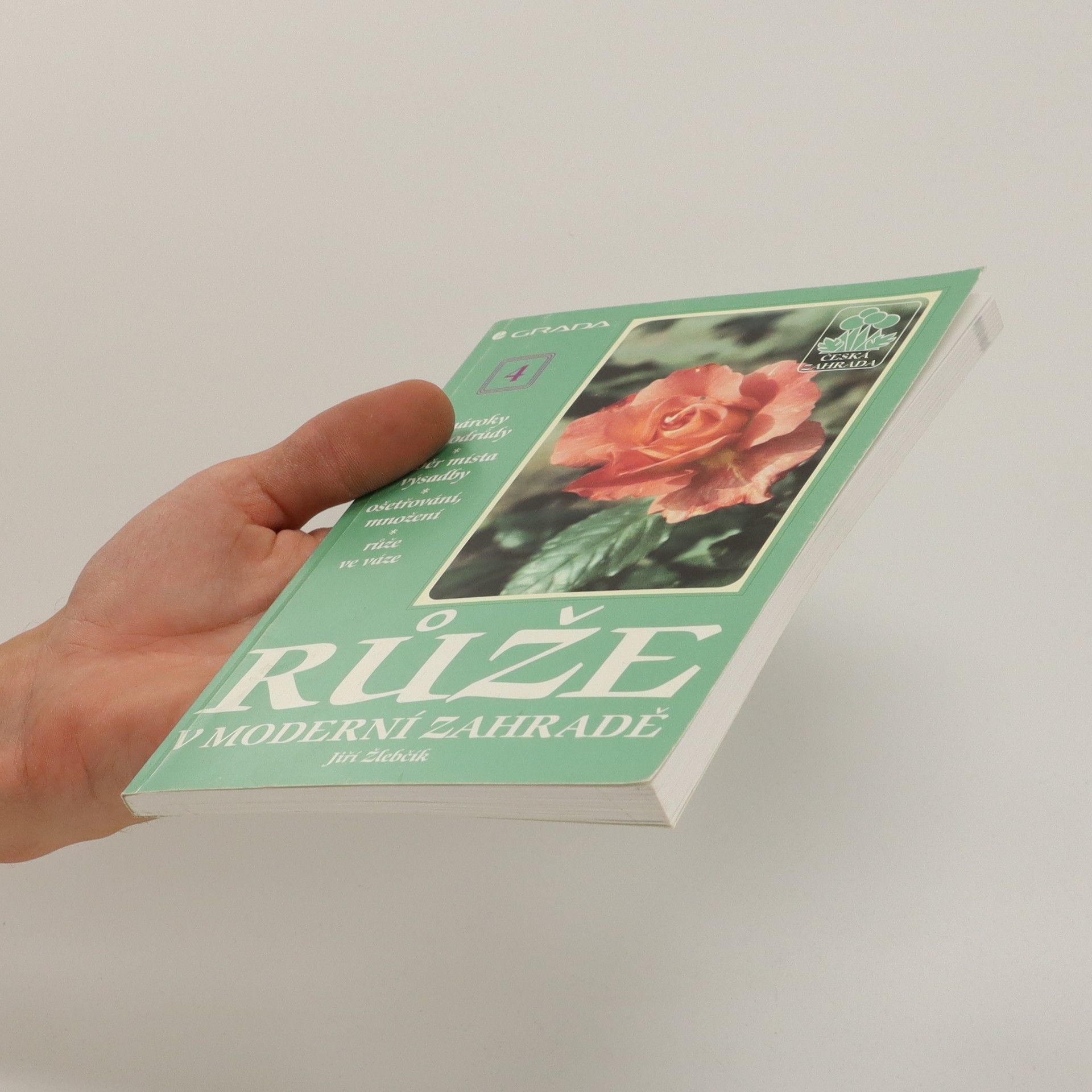 Jiří Žlebčík Růže v moderní zahradě