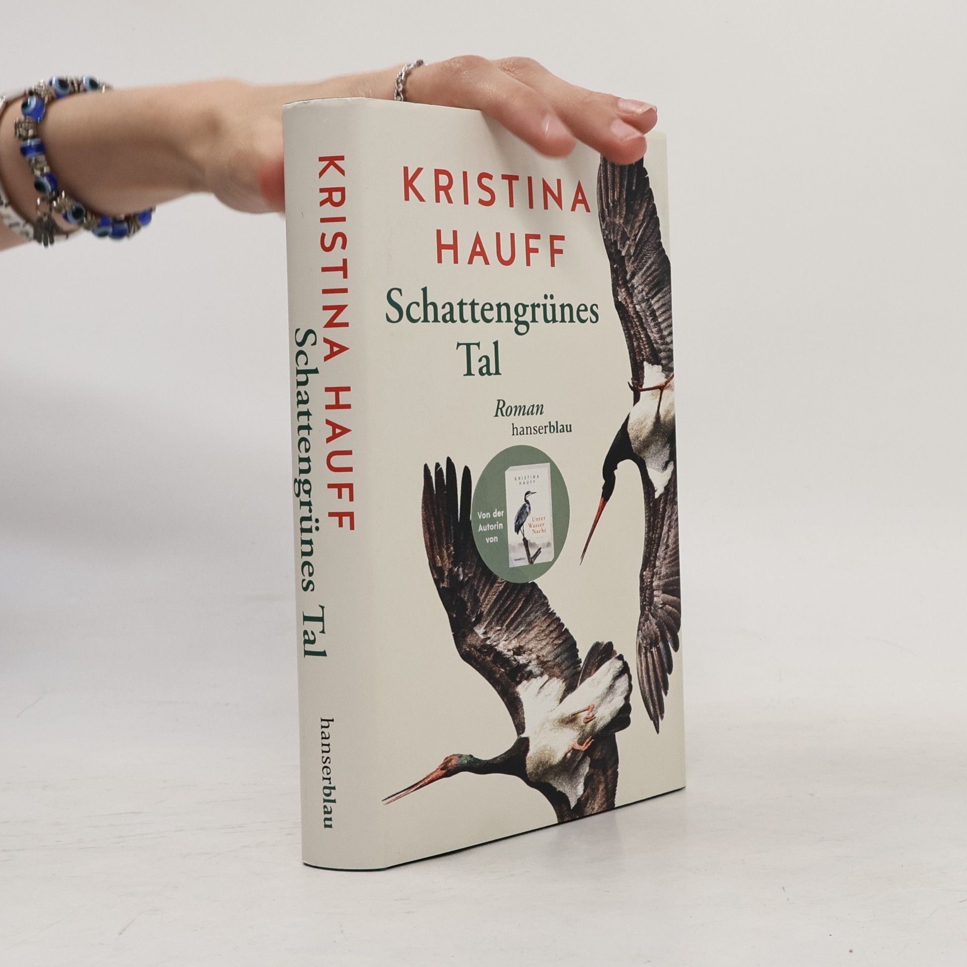 Kristina Hauff Schattengrünes Tal