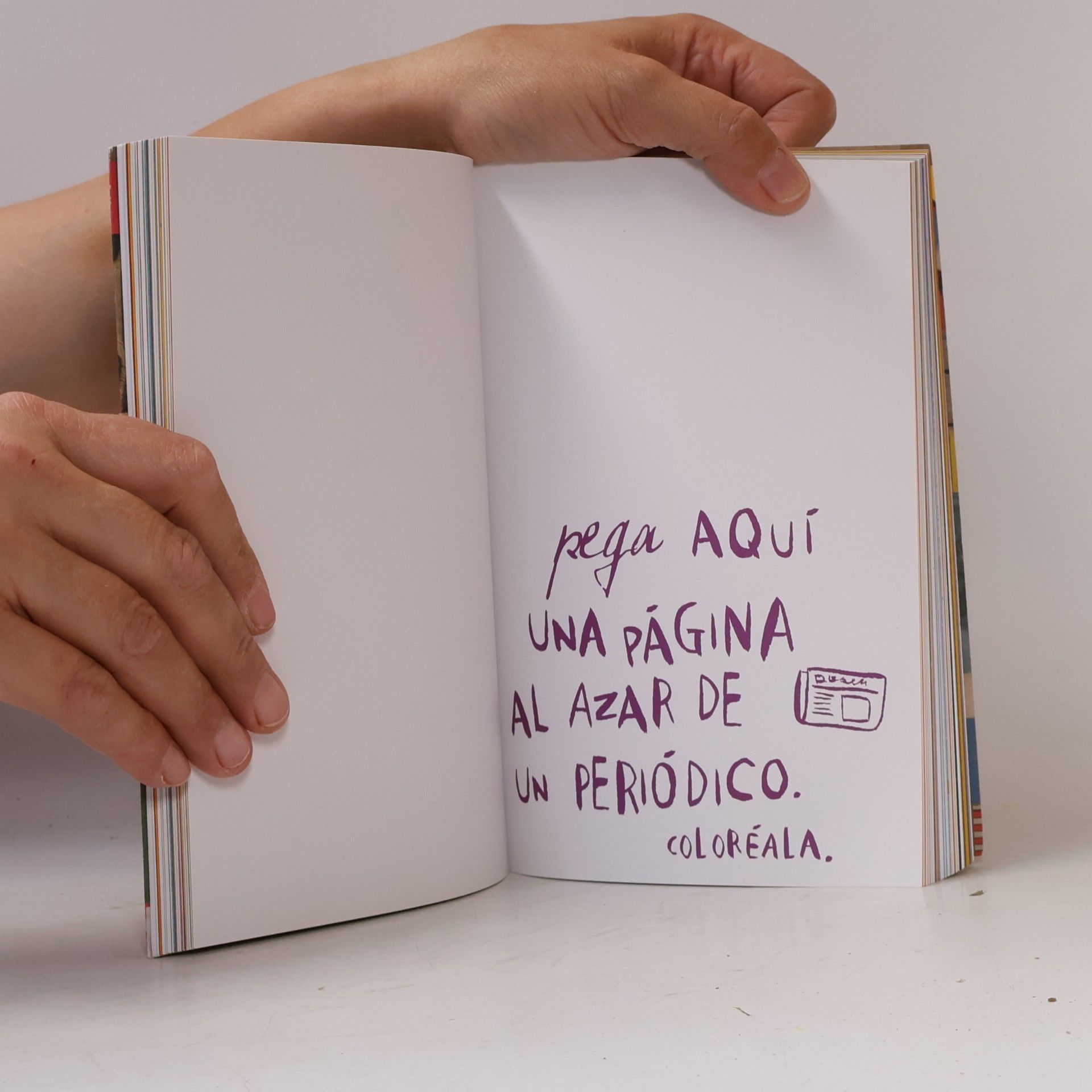 Remedios Diéguez Diéguez Destroza este diario