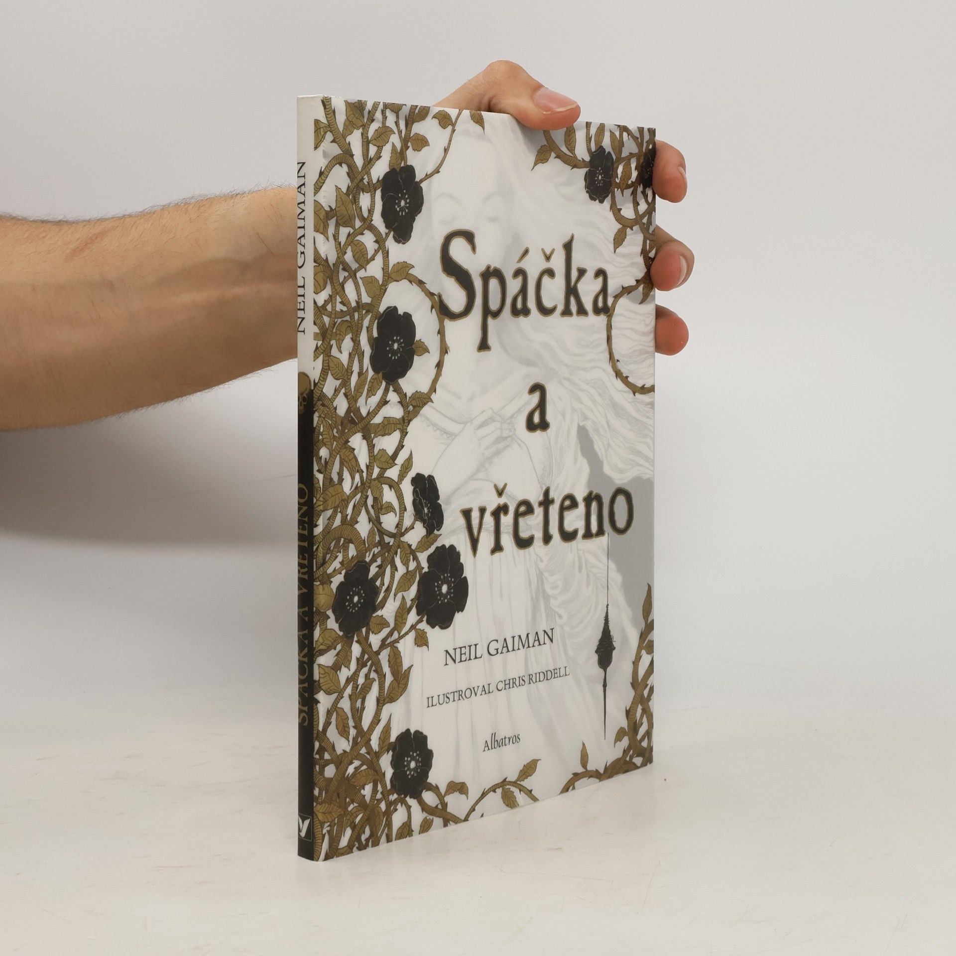 Neil Gaiman Spáčka a vřeteno