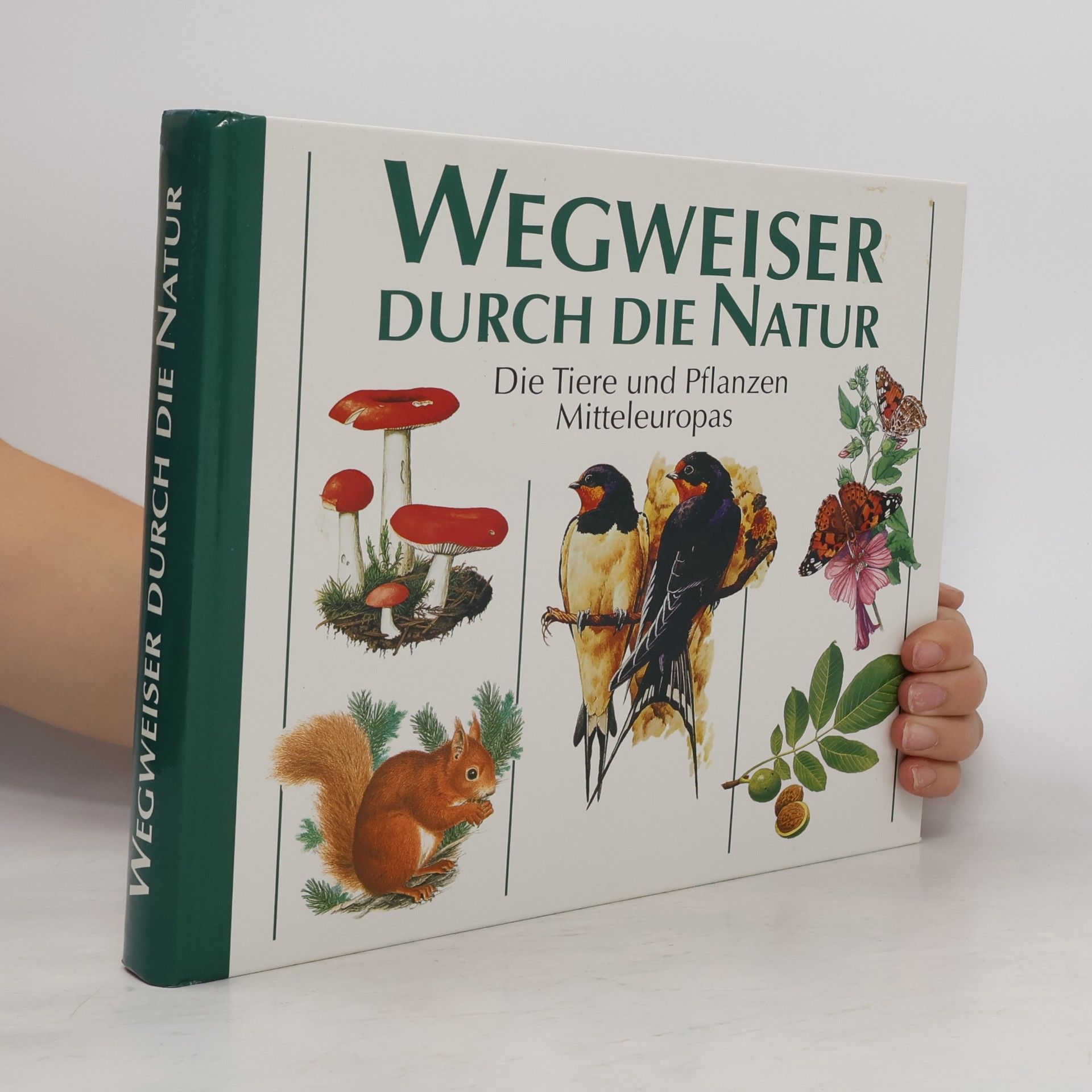 Autorenkollektiv Wegweiser durch die Natur. Die Tiere und Pflanzen Mitteleuropas