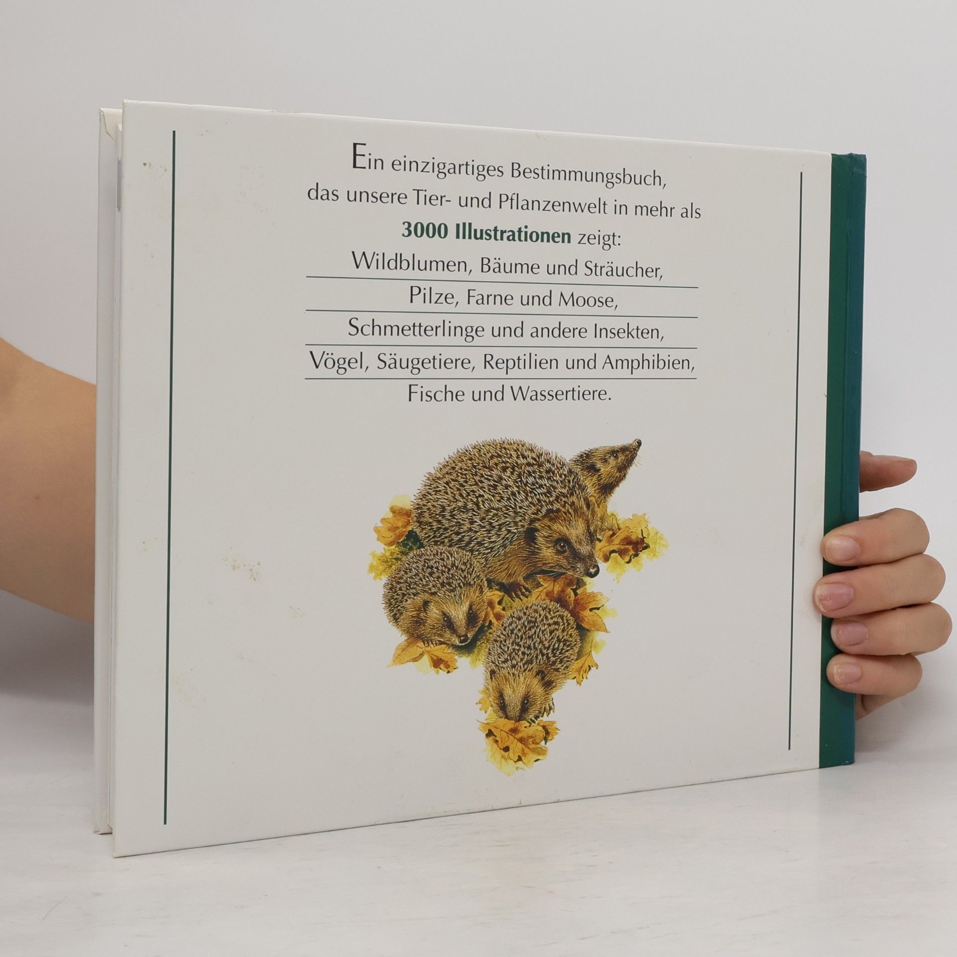 Autorenkollektiv Wegweiser durch die Natur. Die Tiere und Pflanzen Mitteleuropas