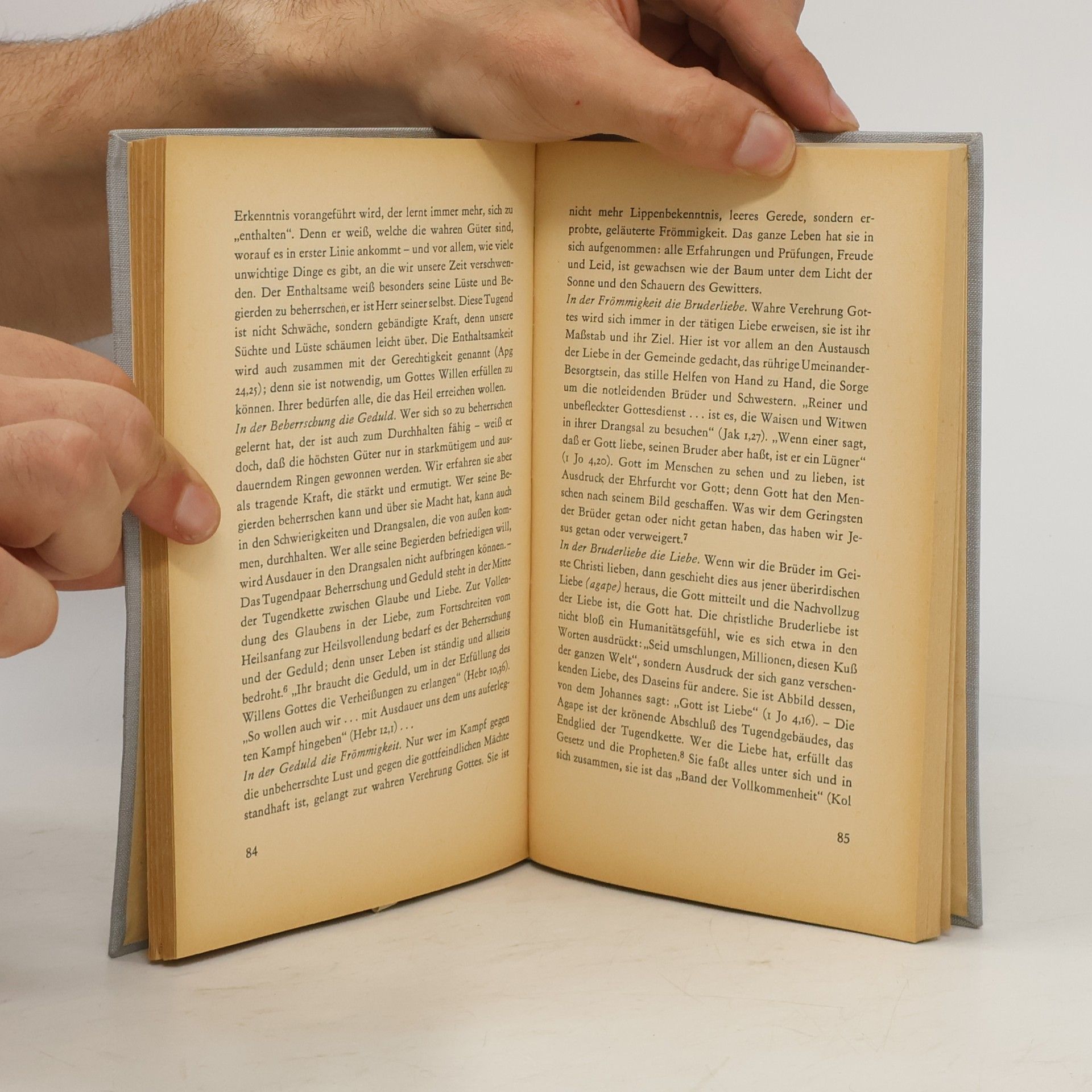 Alois Stöger Geistliche Schriftlesung 21/1, 21/2
