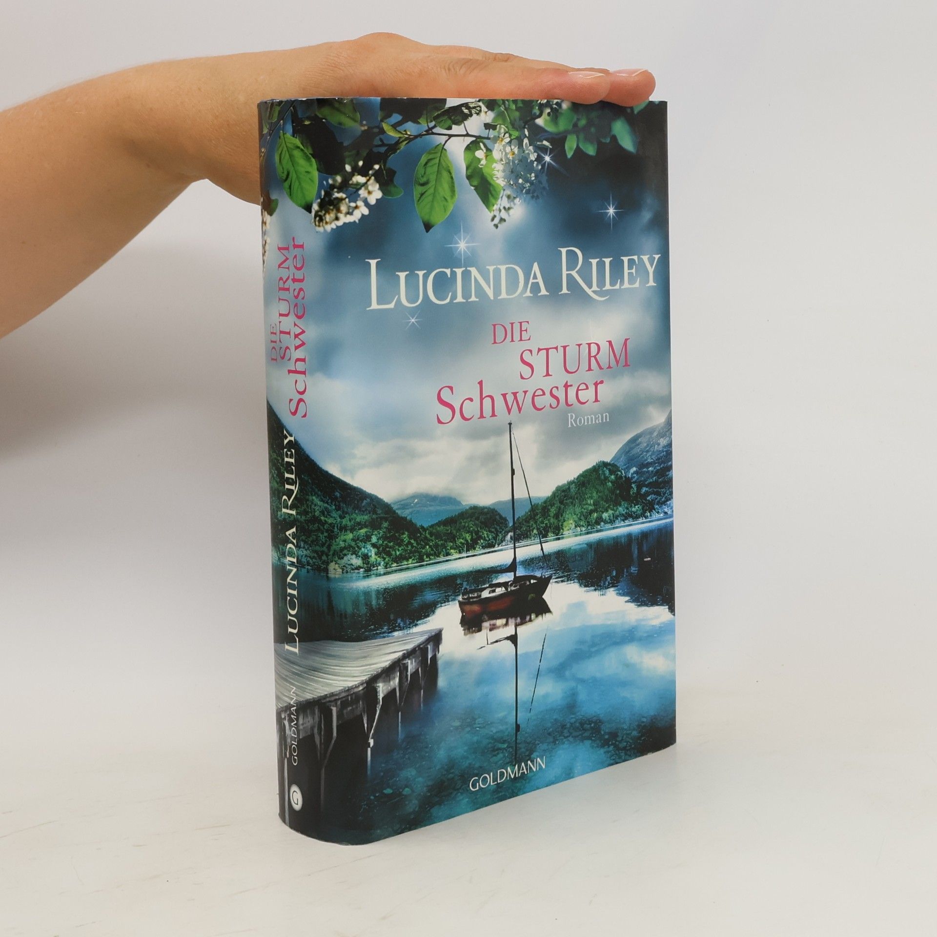 Lucinda Riley Die Sturmschwester