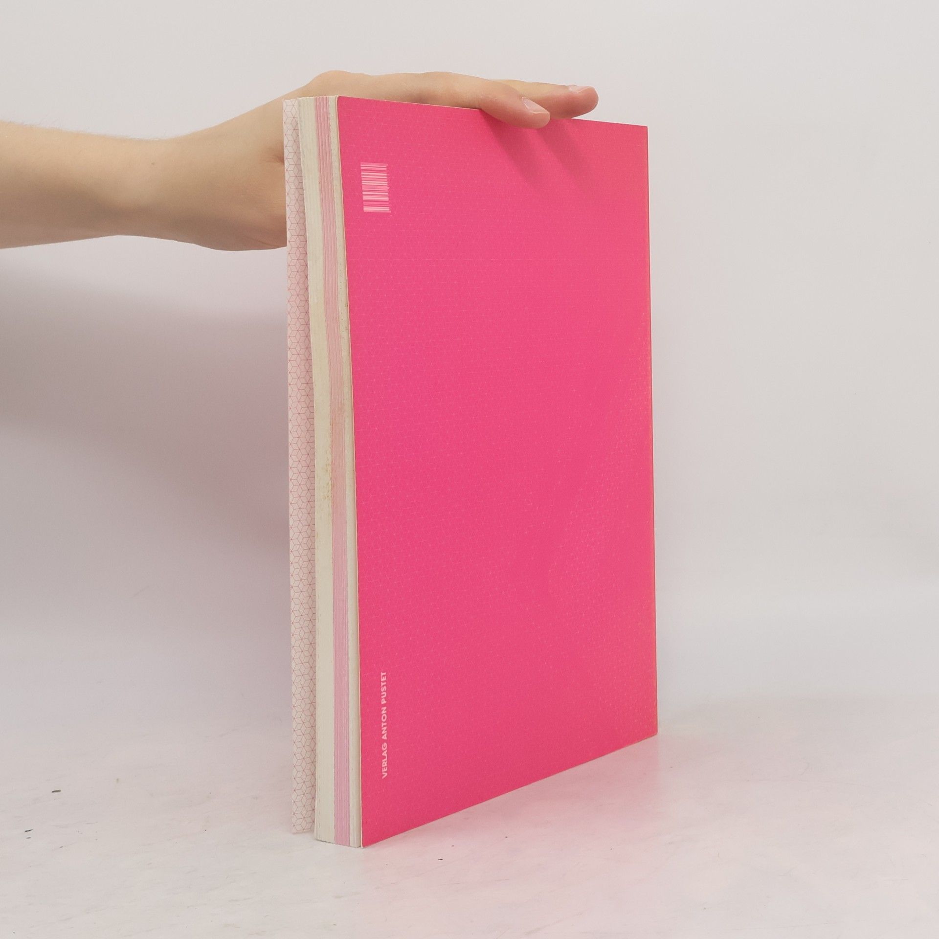 Stefan Gruber Review - 4: Rethinking Geometries