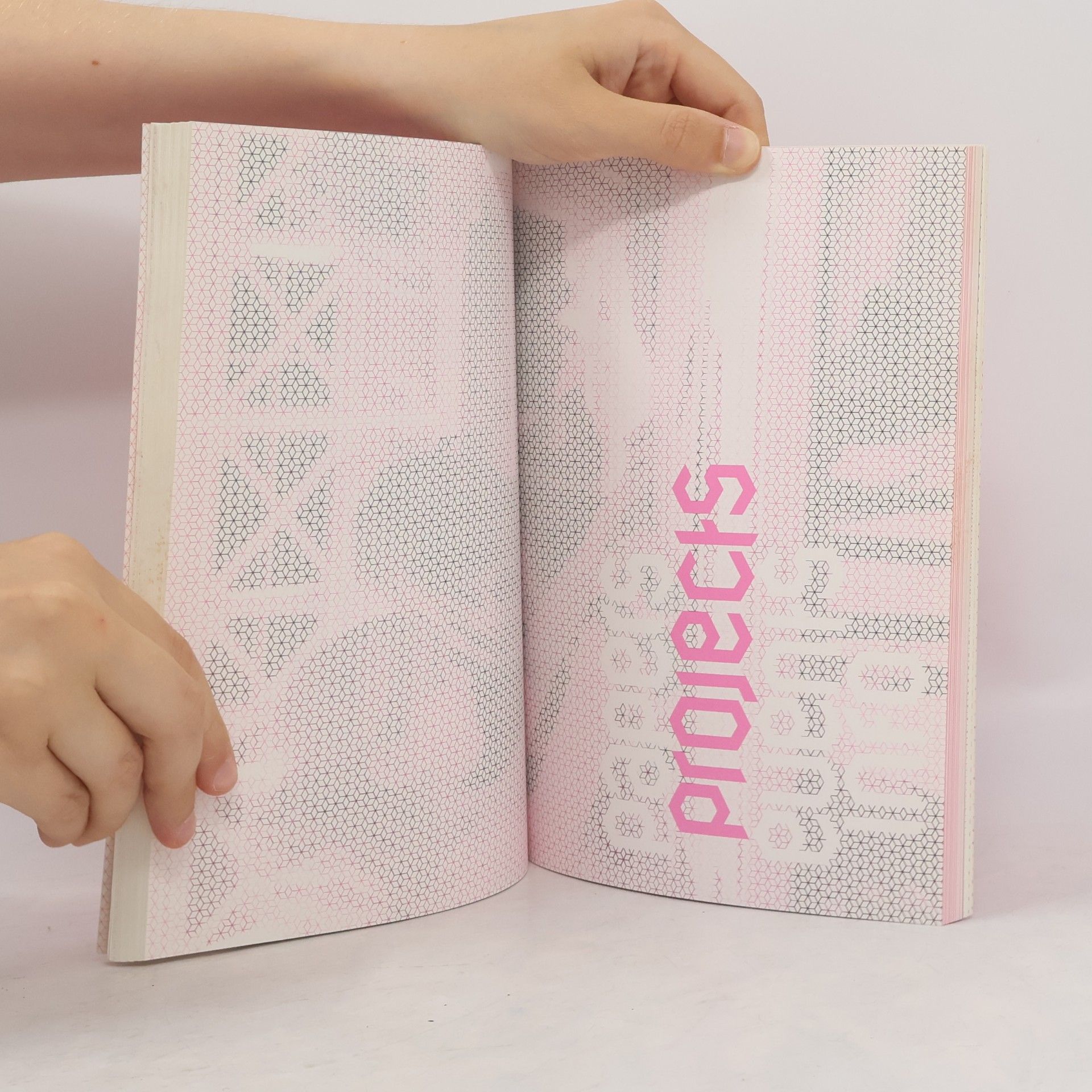Stefan Gruber Review - 4: Rethinking Geometries