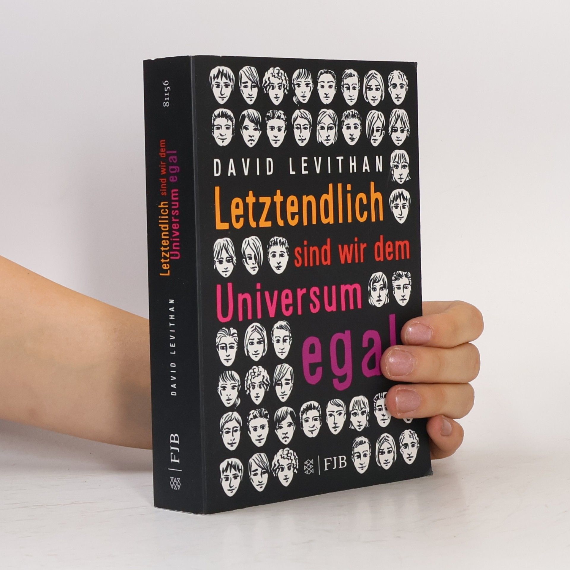 David Levithan Letztendlich sind wir dem Universum egal