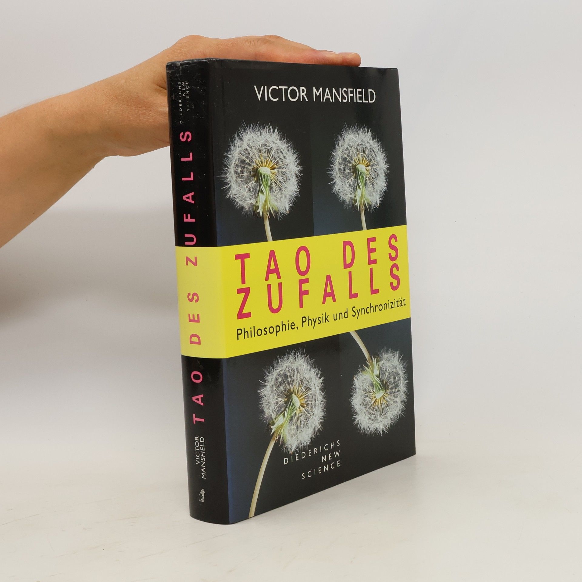 Victor Mansfield Tao des Zufalls