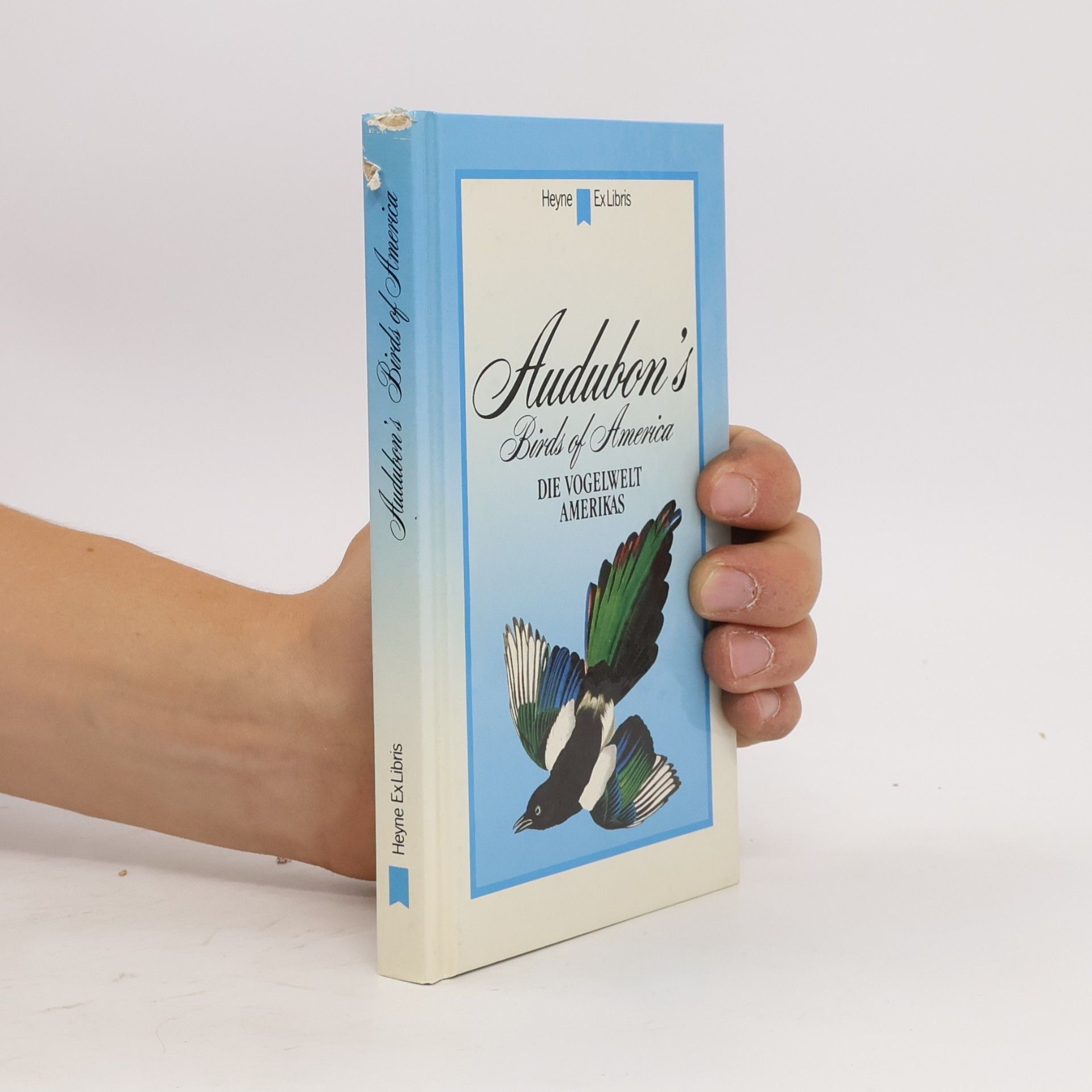 John James Audubon Audubon's birds of America