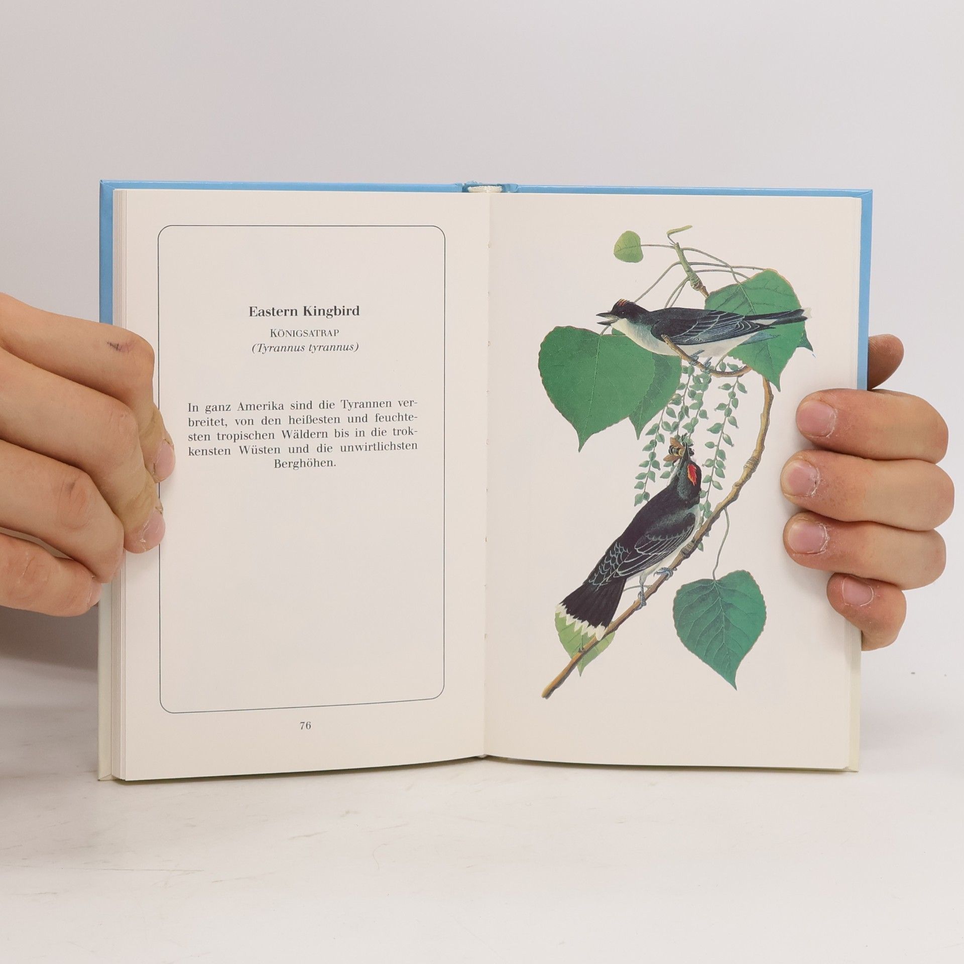 John James Audubon Audubon's birds of America