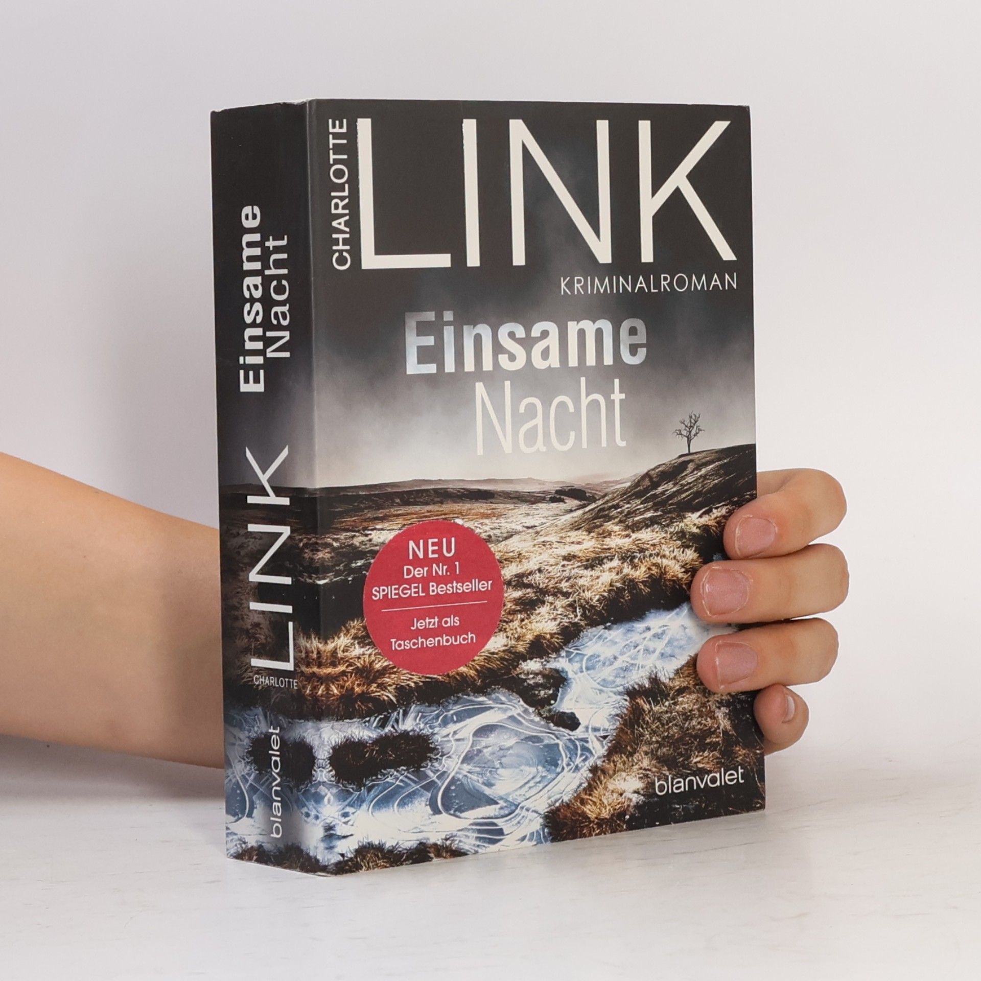 Charlotte Link Einsame Nacht