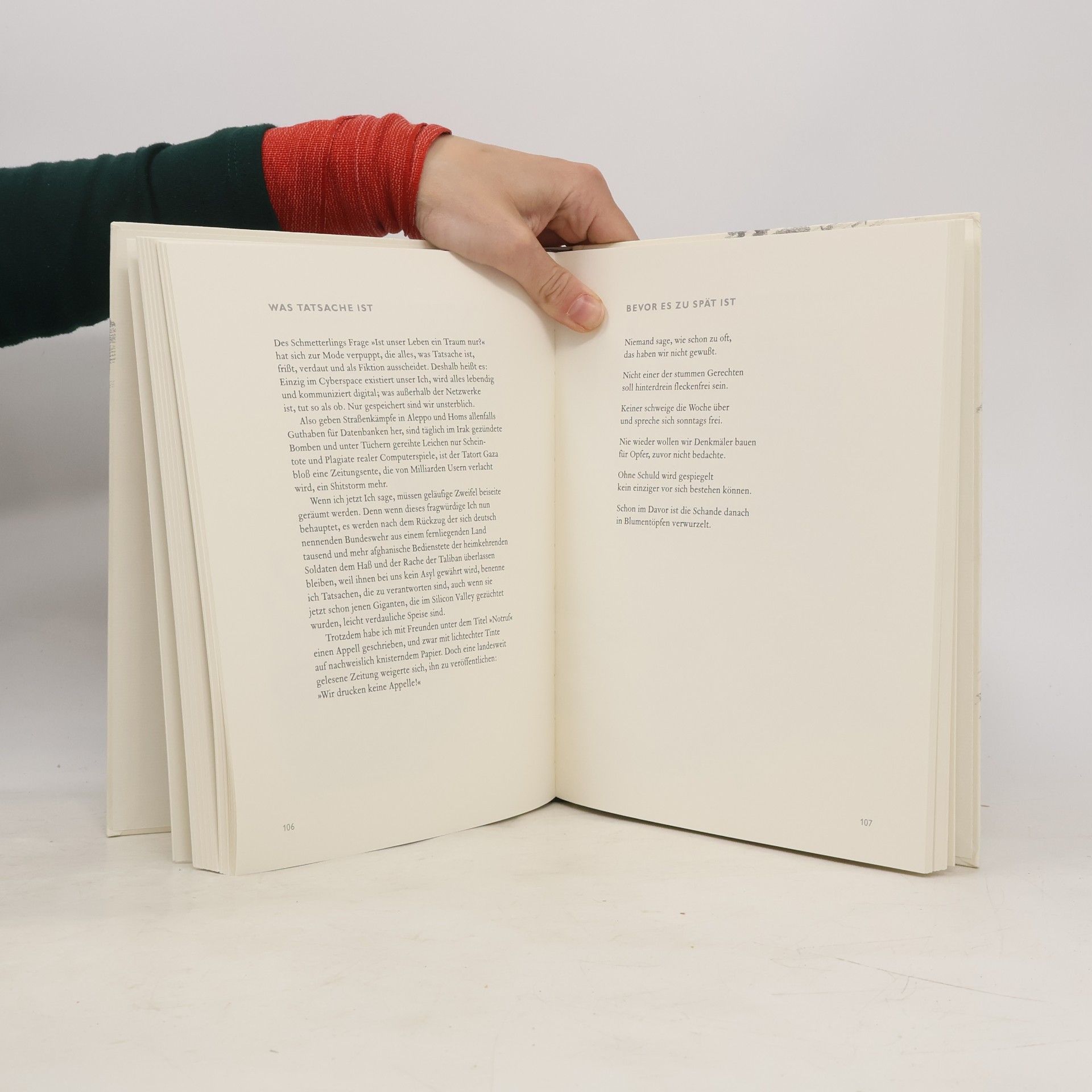 Günter Grass Vonne Endlichkait