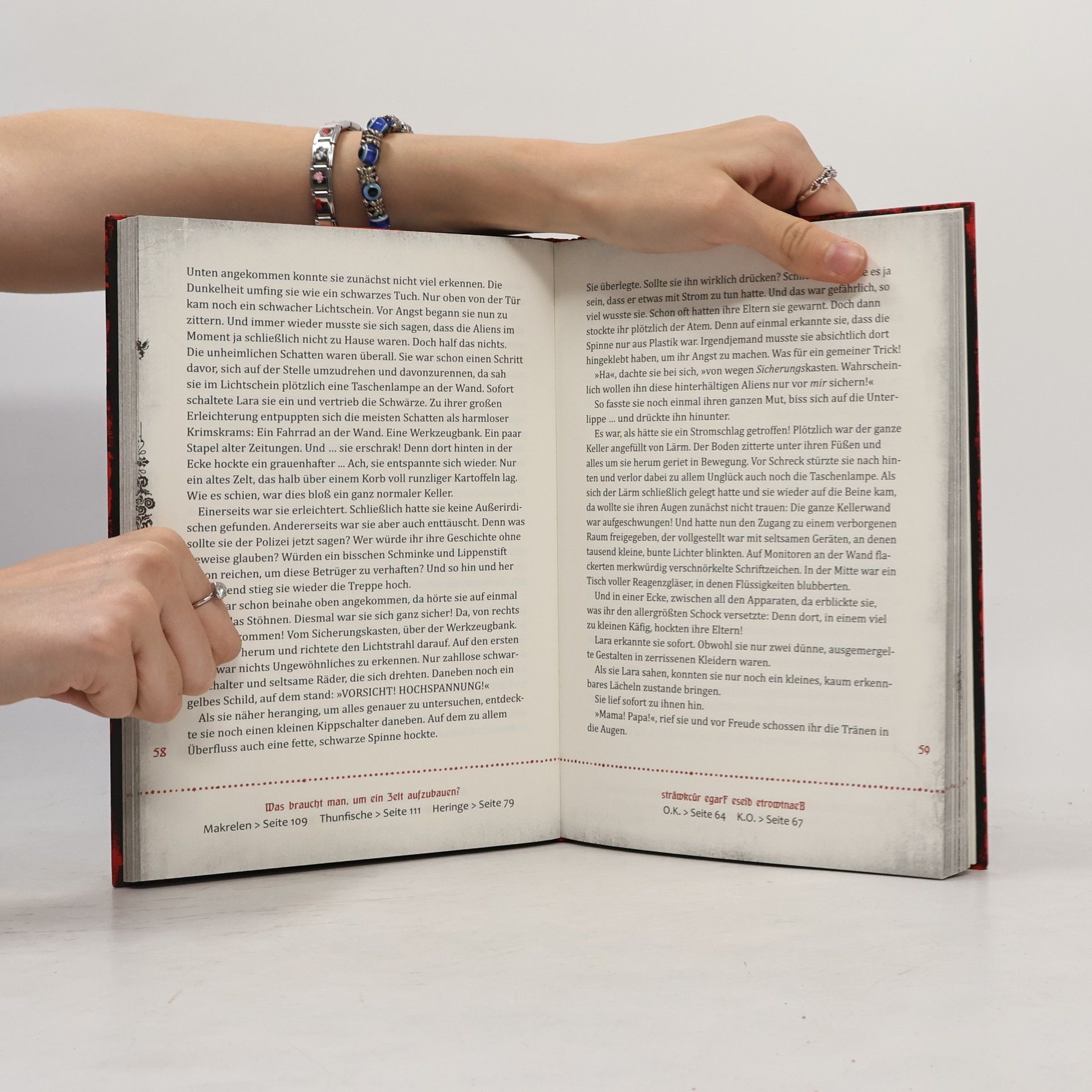 Magnnus Myst Das Böse Buch