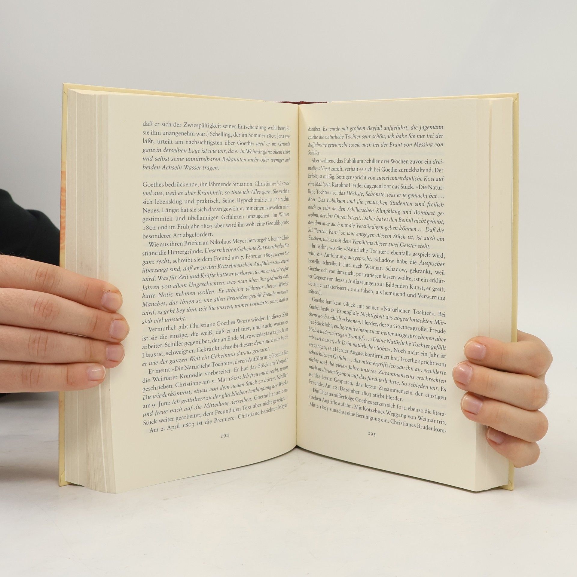 Sigrid Damm Christiane und Goethe
