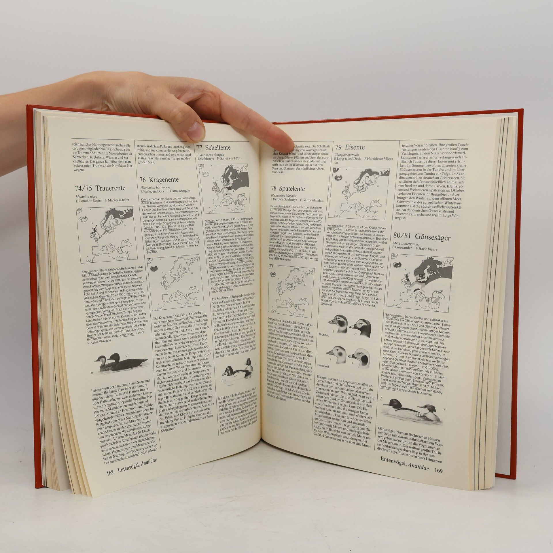 Jürgen Nicolai Fotoatlas der Vögel