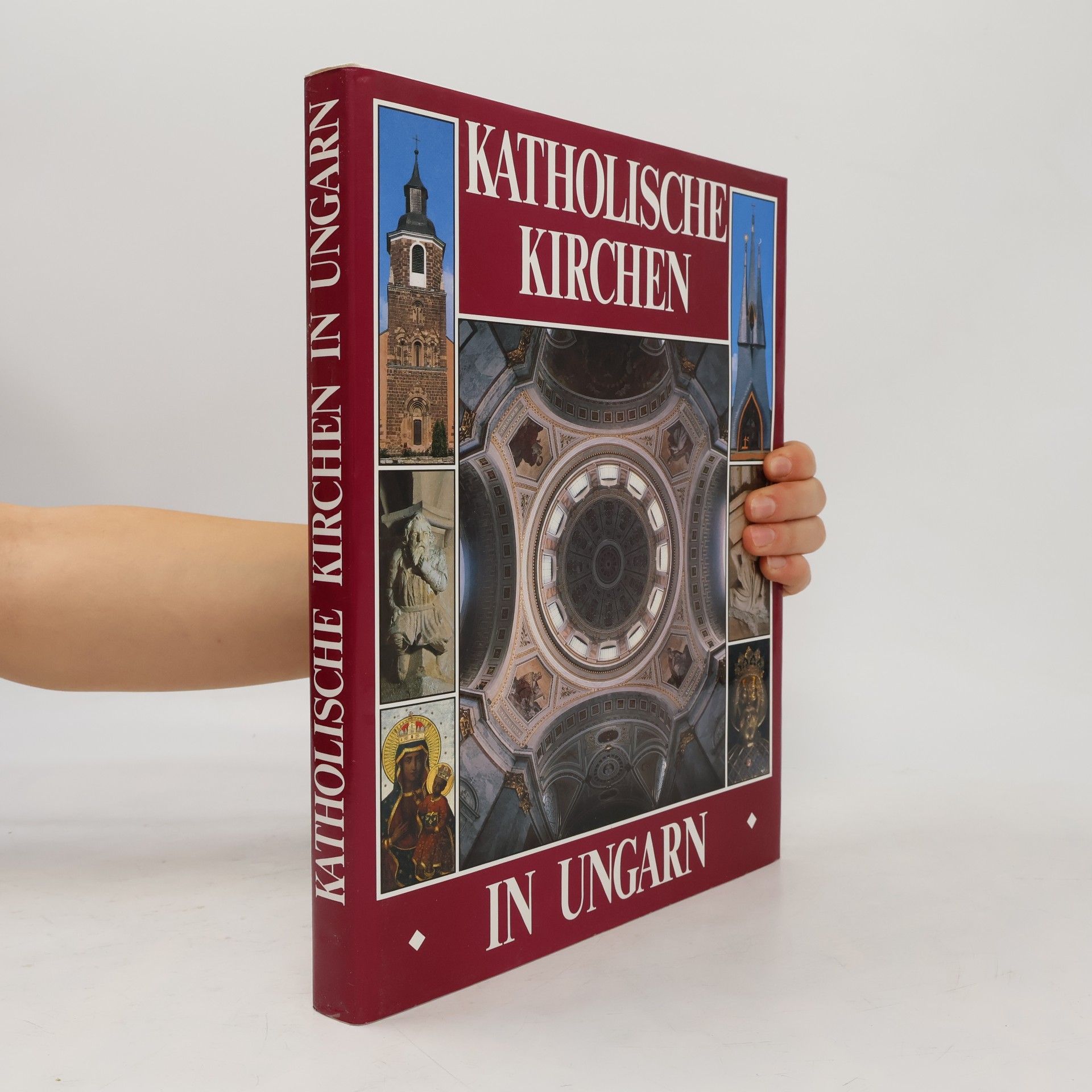 Autorenkollektiv Katholische Kirchen in Ungarn