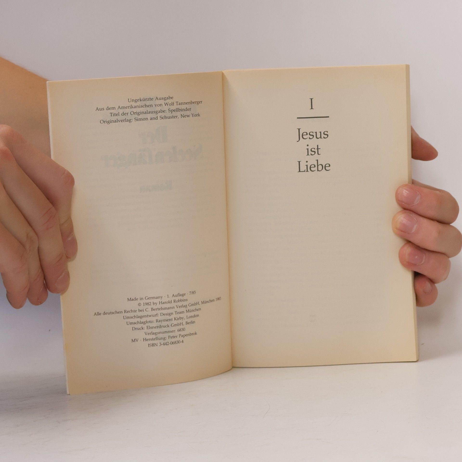 Harold Robbins Der Seelenfänger
