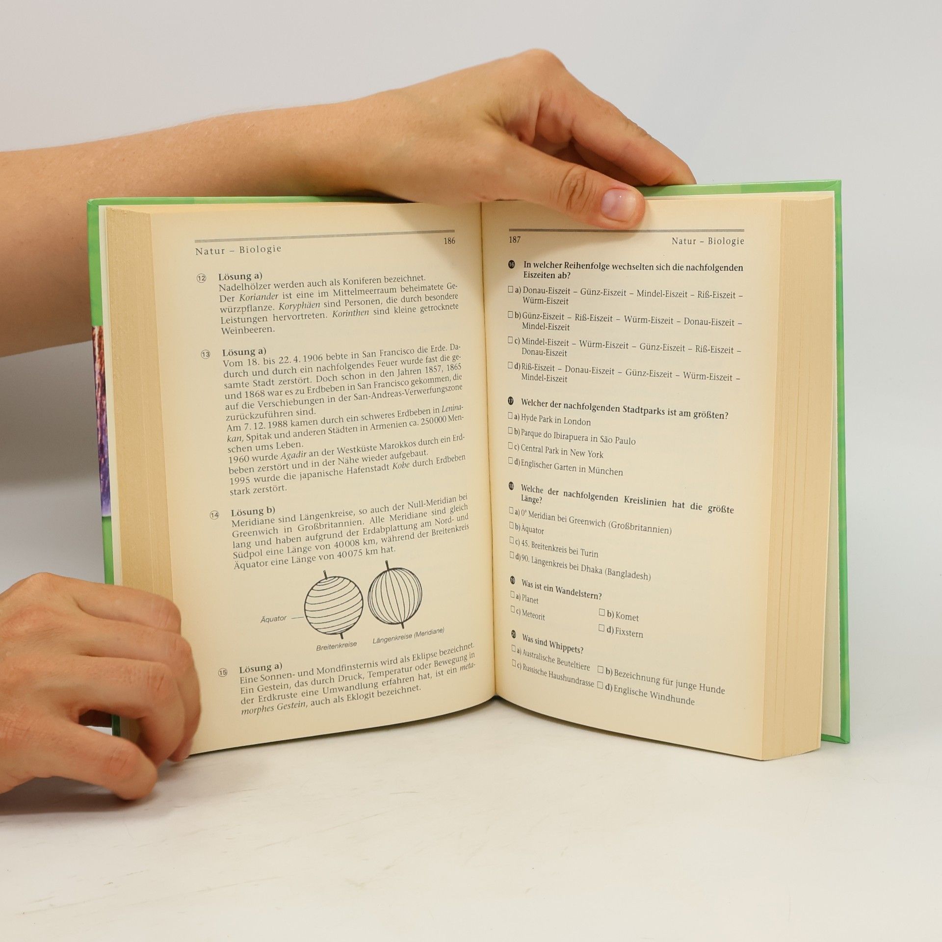 Doris Brenner Das große Testbuch der Allgemeinbildung