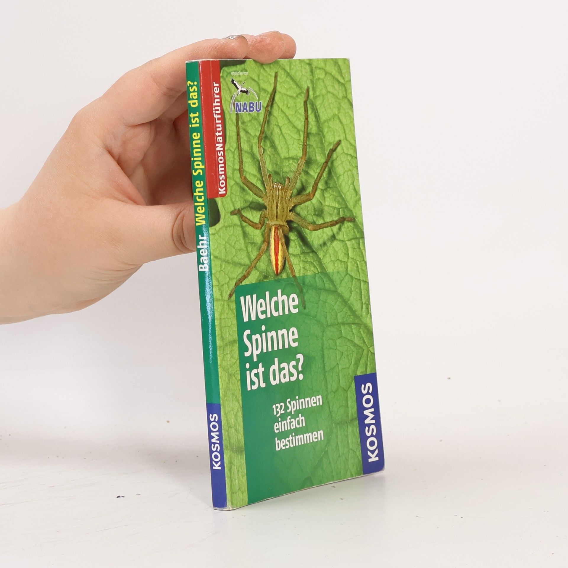Martin Baehr Welche Spinne ist das?
