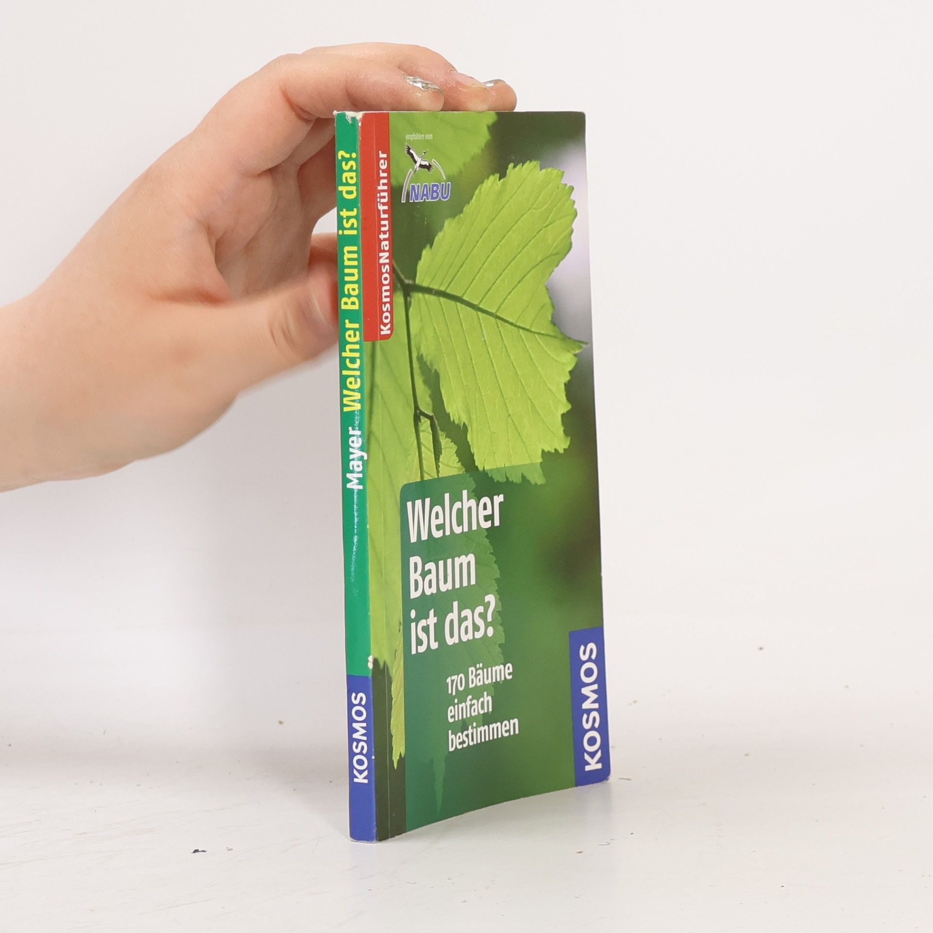 Joachim Mayer Welcher Baum ist das?