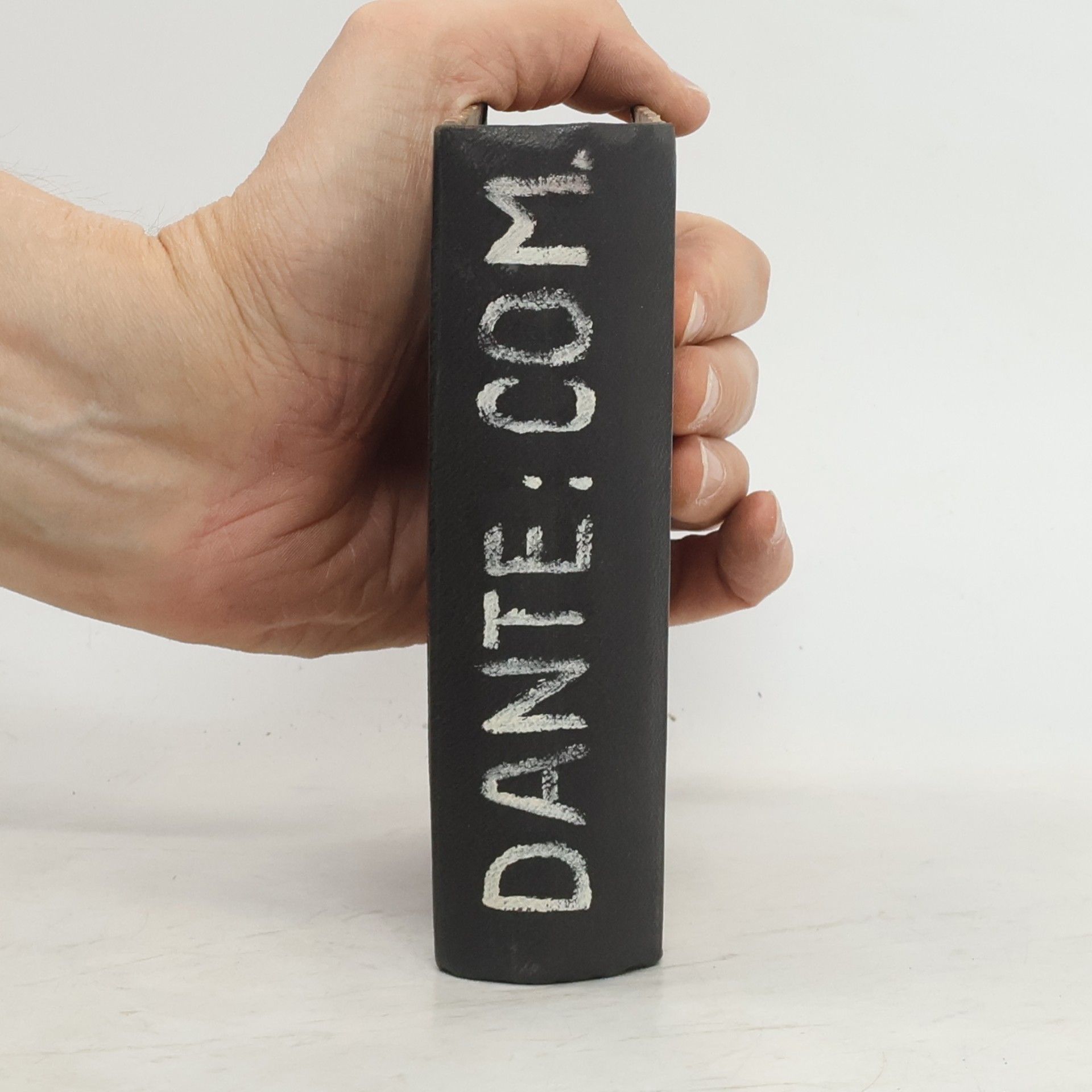 Dante Alighieri Die Göttliche Komödie I. Die Hölle
