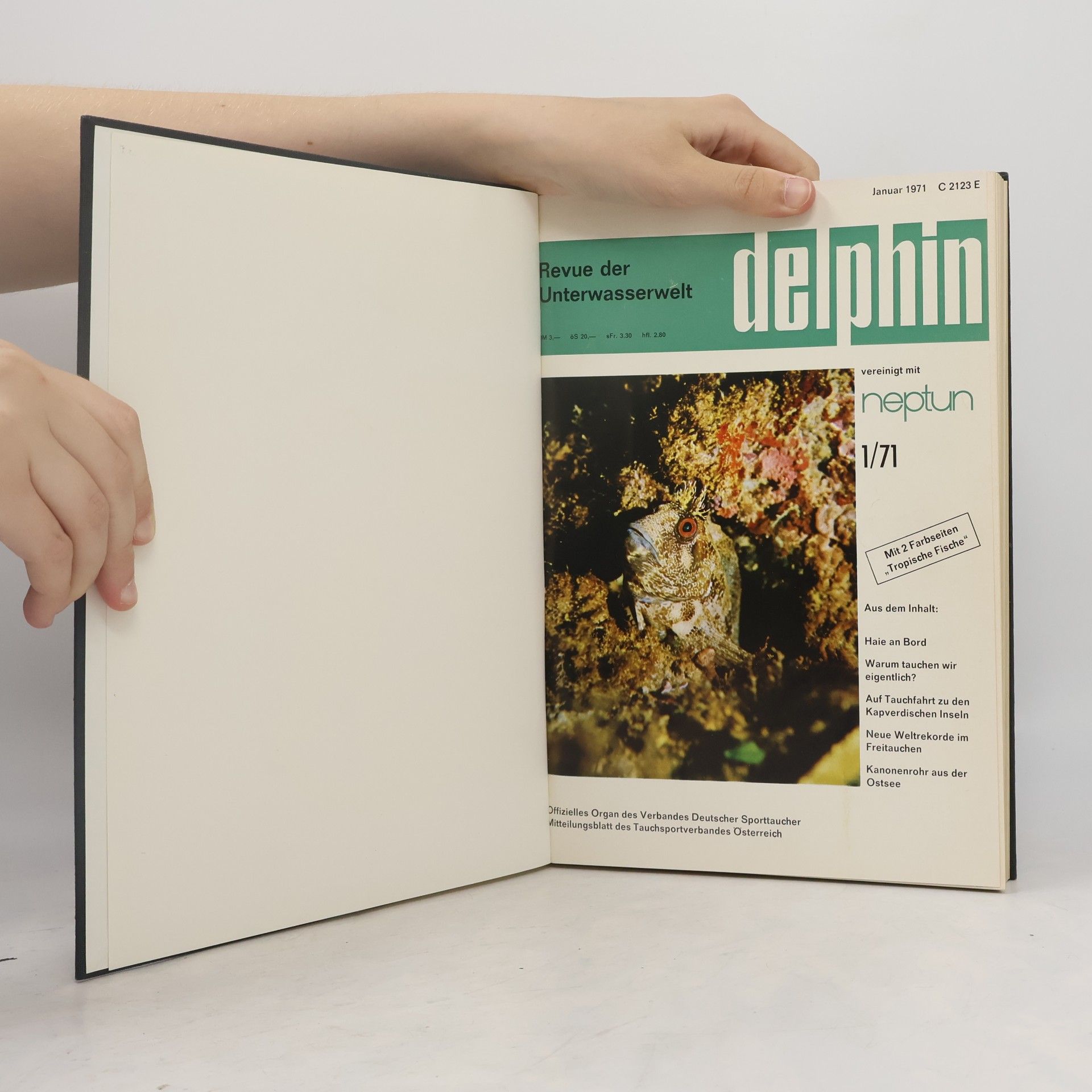 kolektiv Delphin 1/1971