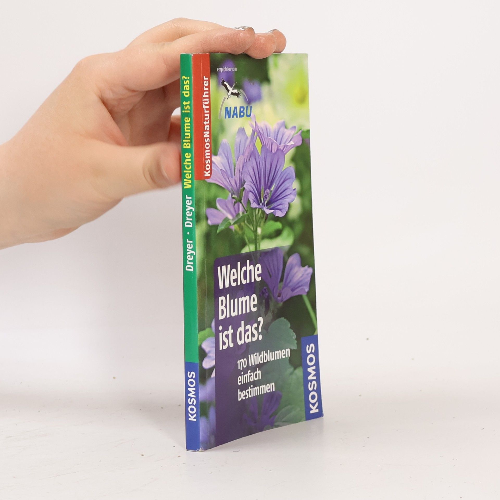 Eva-Maria Dreyer Welche Blume ist das?
