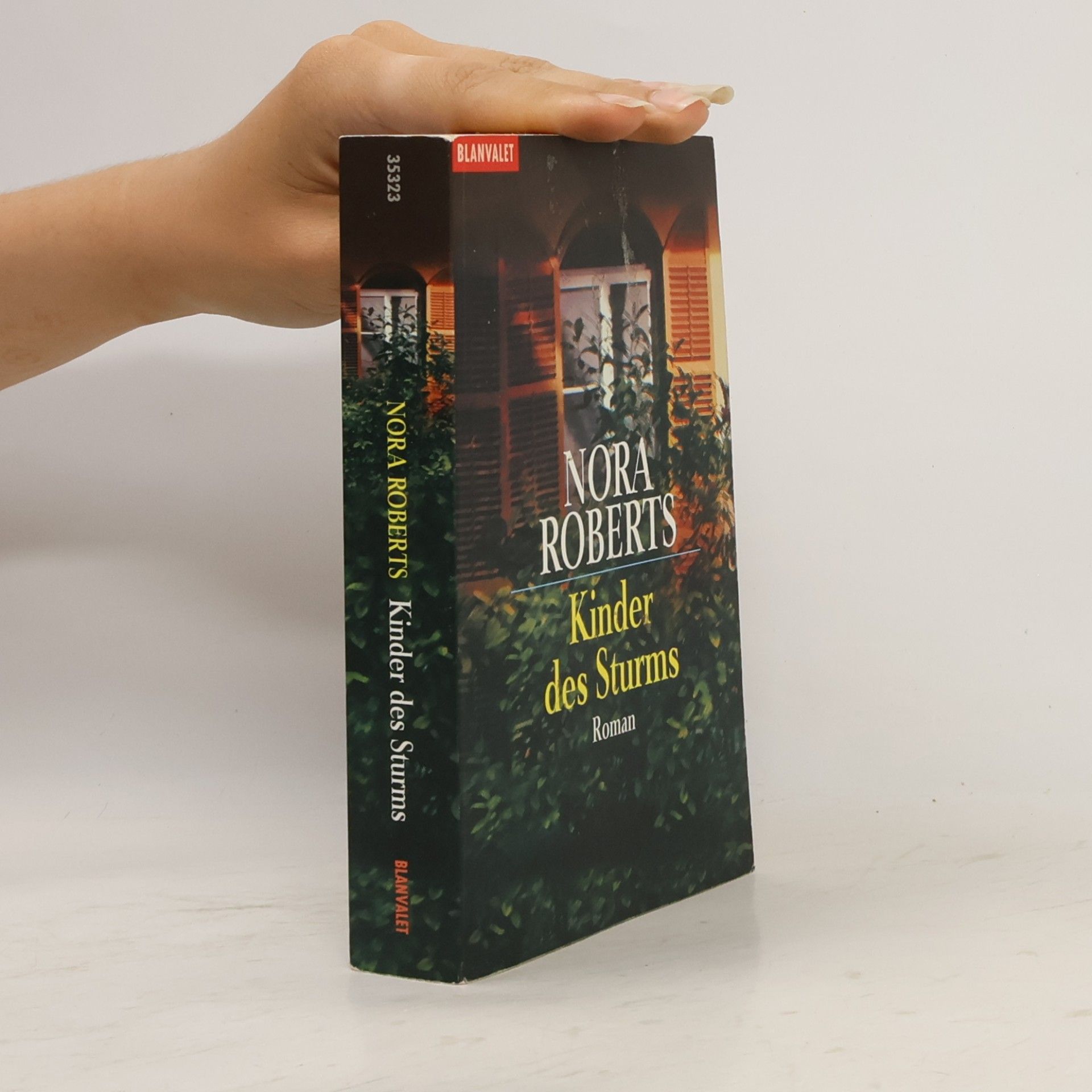 Nora Roberts Kinder des Sturms