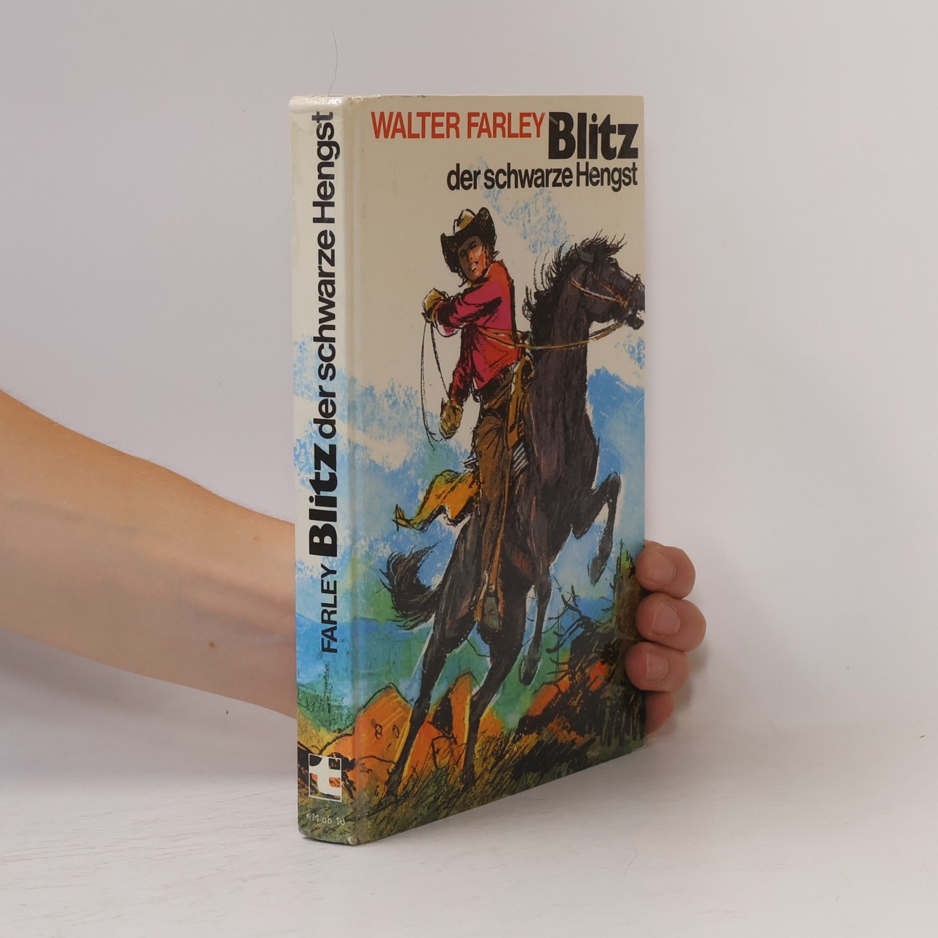 Walter Farley Blitz der schwarze Hengst