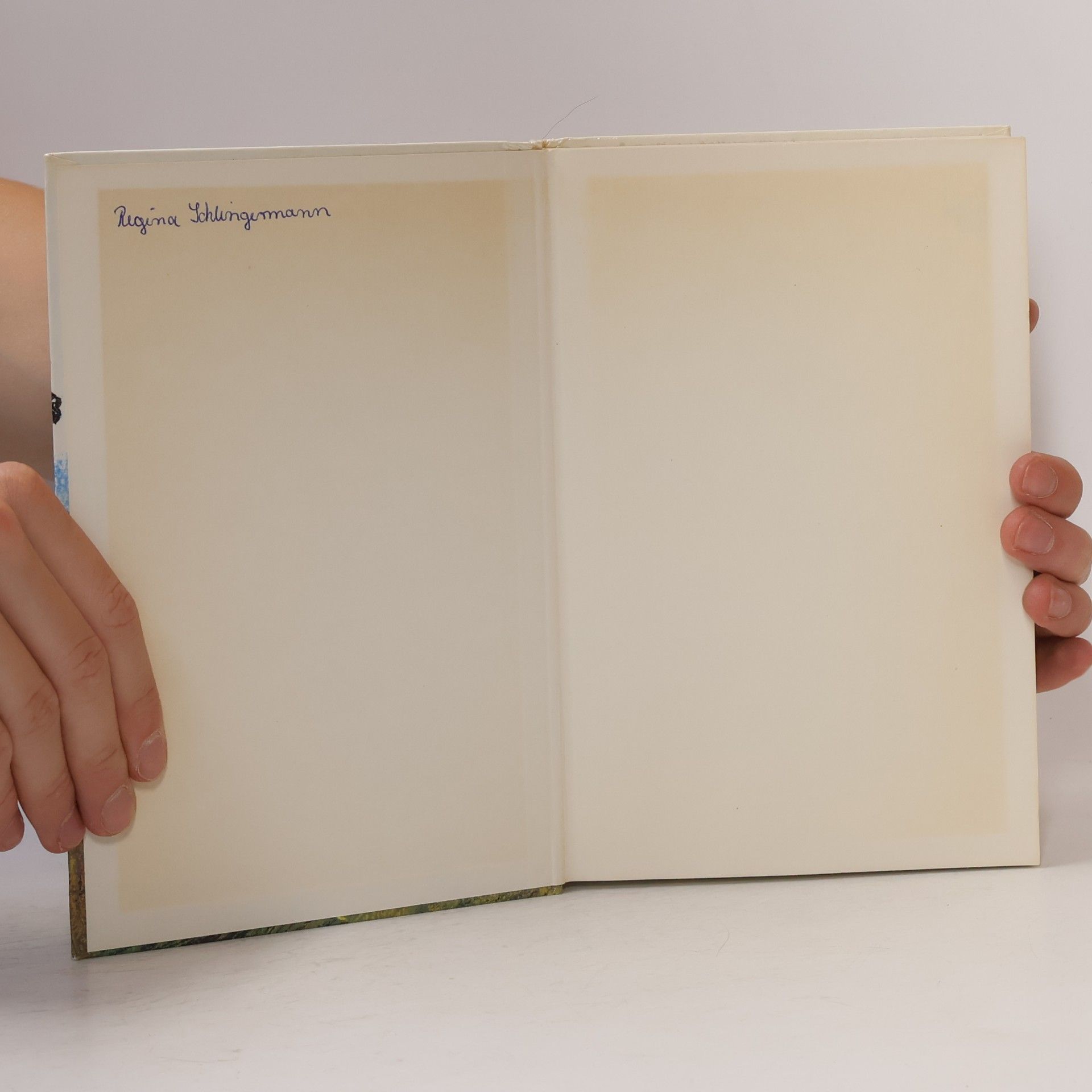 Walter Farley Blitz der schwarze Hengst