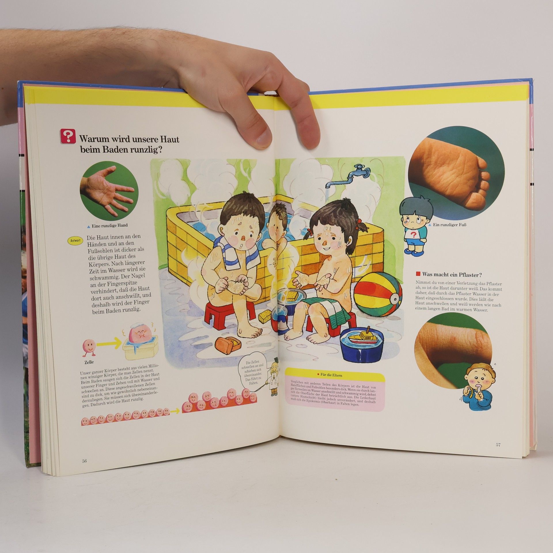 Autorenkollektiv Kinder entdecken ... unser Körper