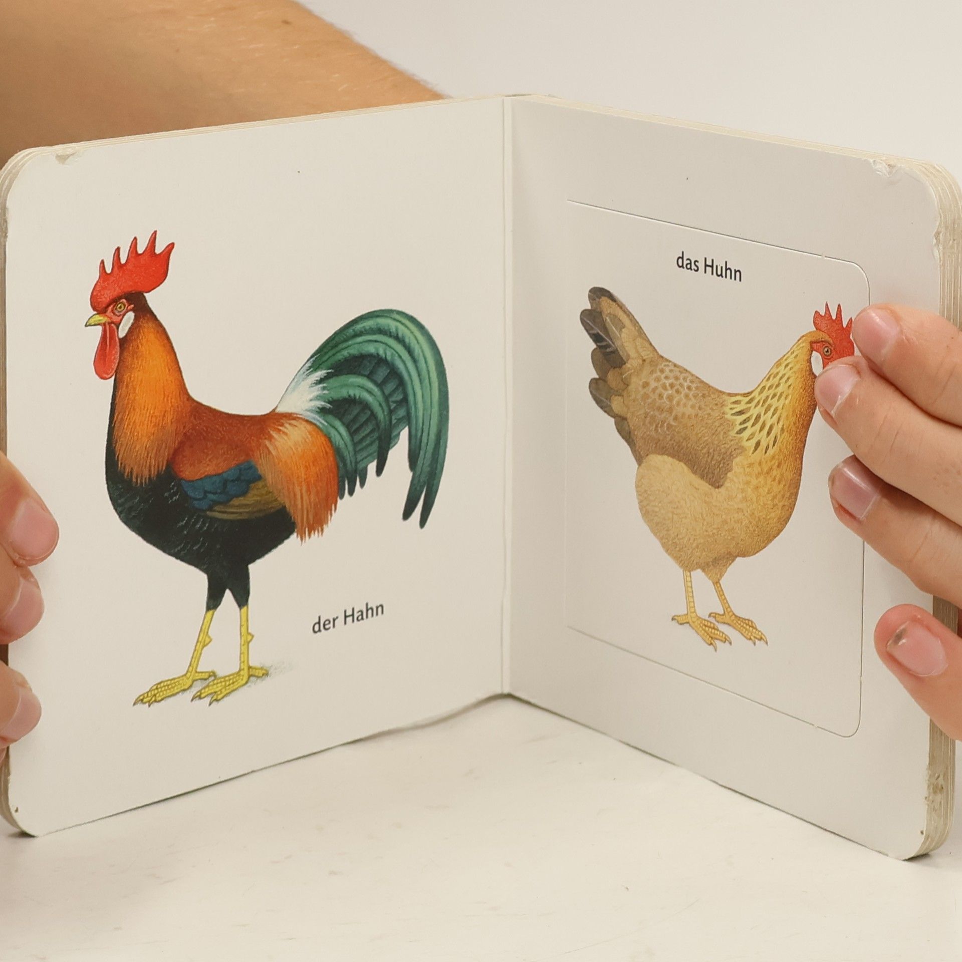 Thomas M. Müller Mein allererstes Klappenbuch. Erste Wörter