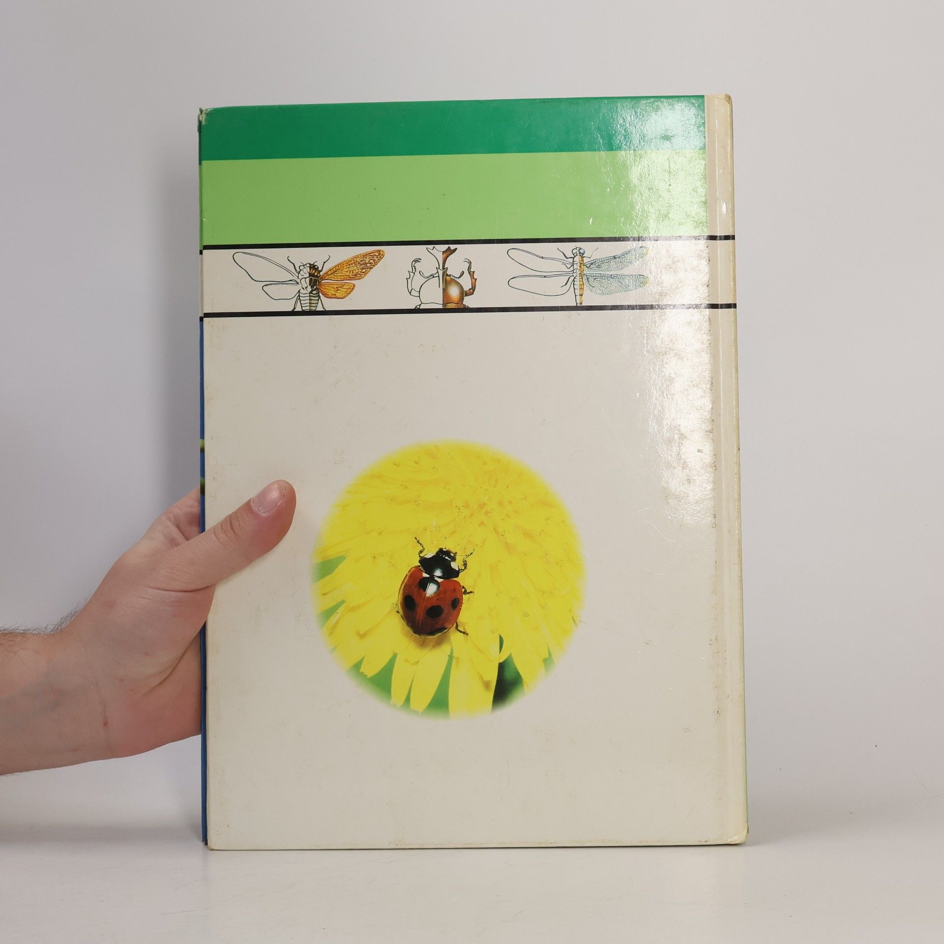Marianne Tölle Kinder entdecken ... die Welt der Insekten