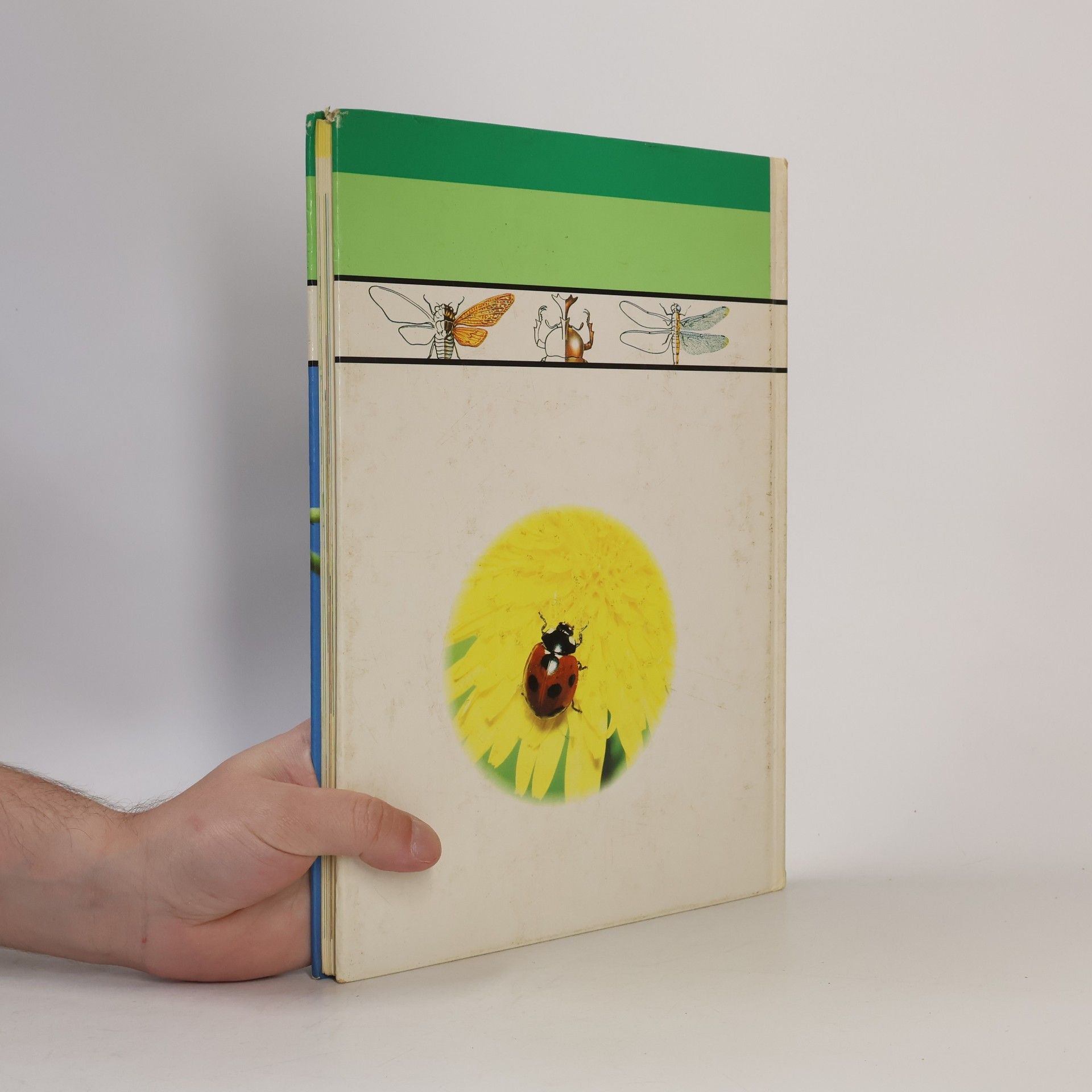 Marianne Tölle Kinder entdecken ... die Welt der Insekten
