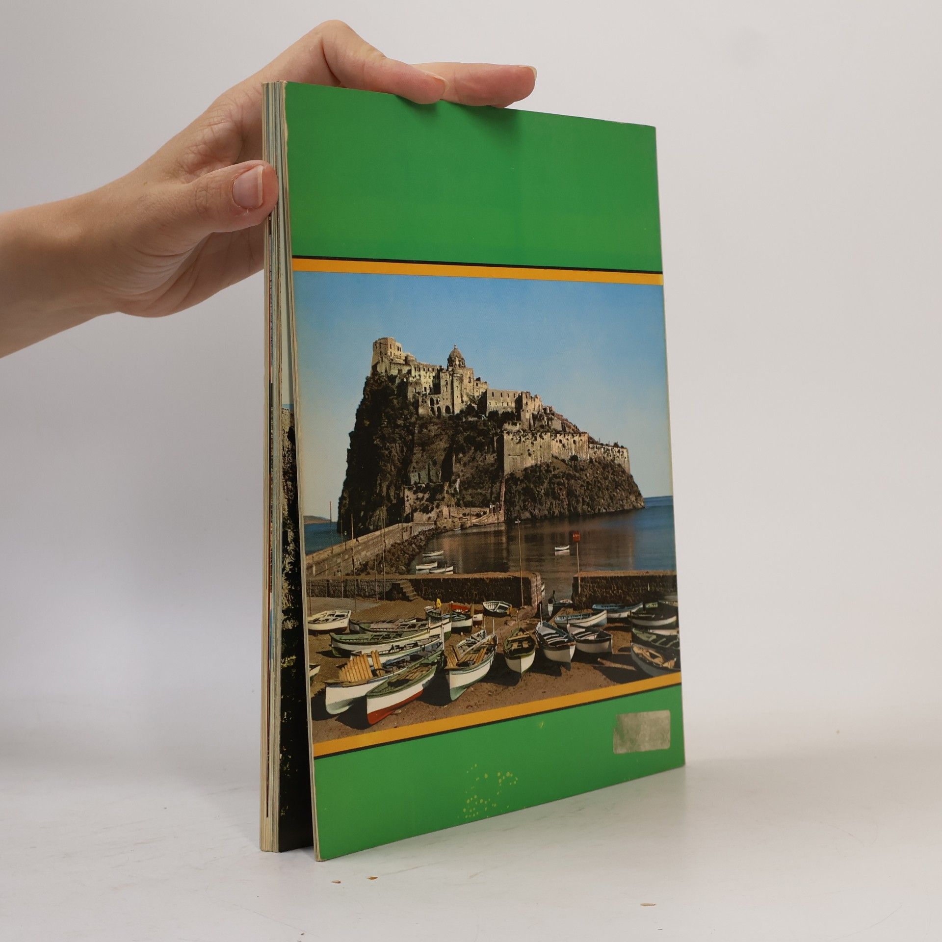 Autorenkollektiv Grüne Insel Ischia