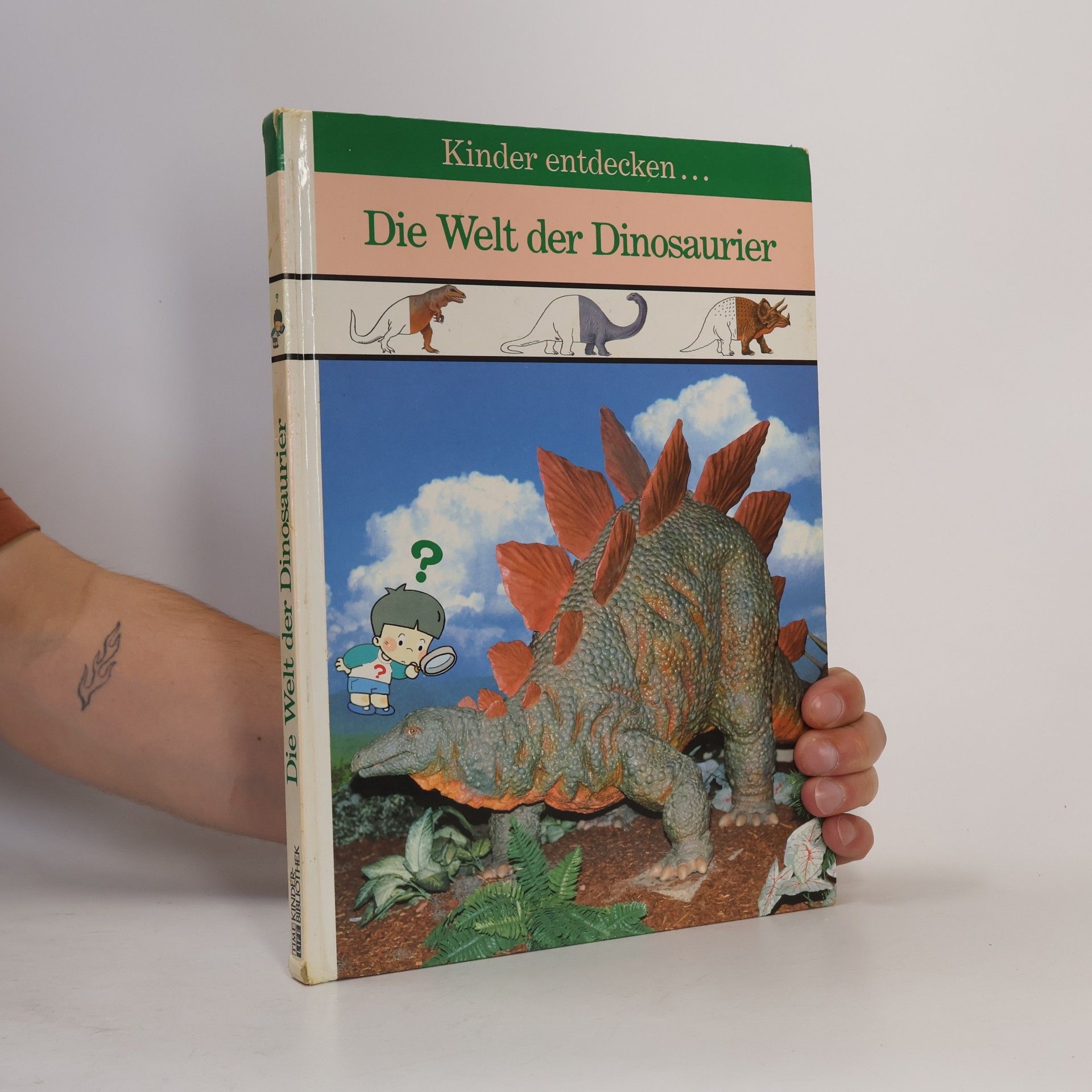 Kolektiv autorů Die Welt der Dinosaurier