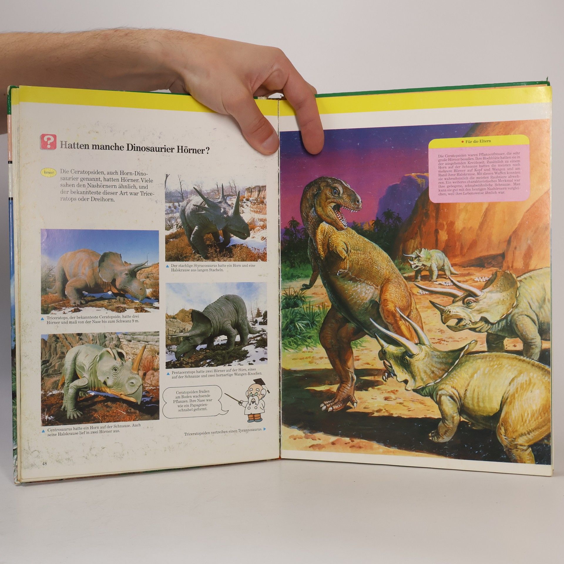 Kolektiv autorů Die Welt der Dinosaurier