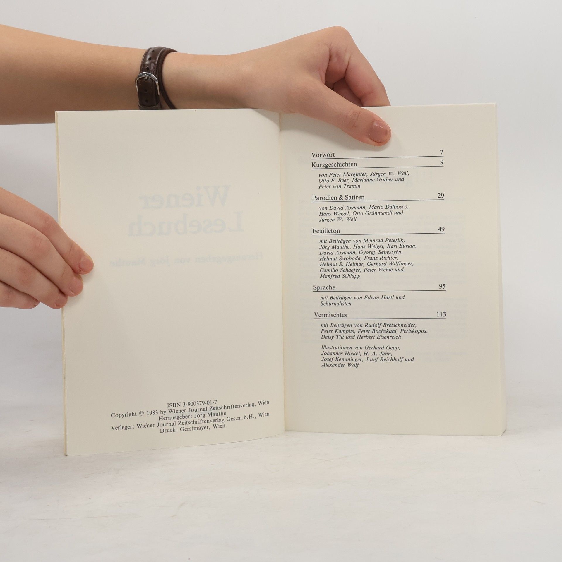 Jörg Mauthe Wiener Lesebuch