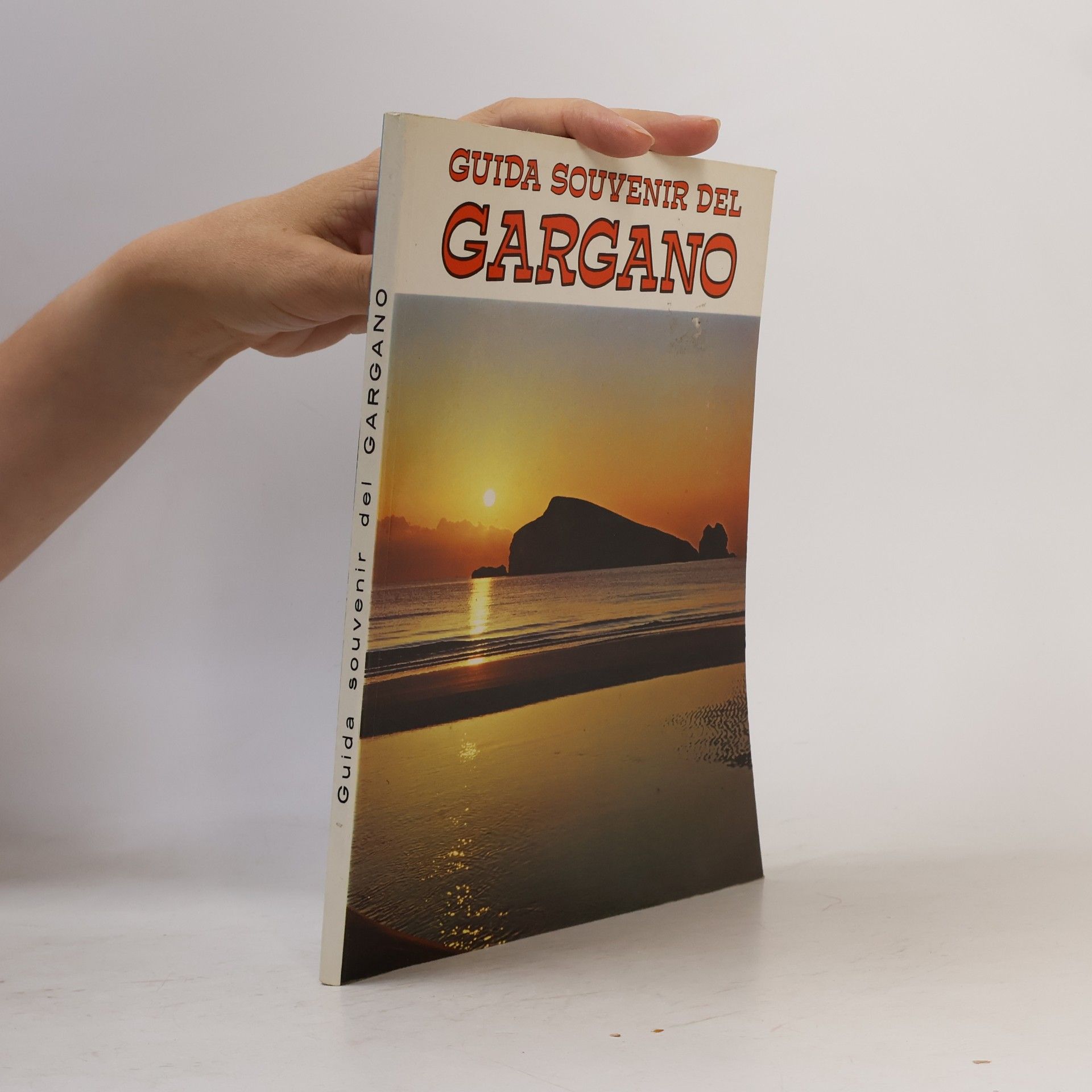 Collectif d'auteurs Guide souvenir del Gargano