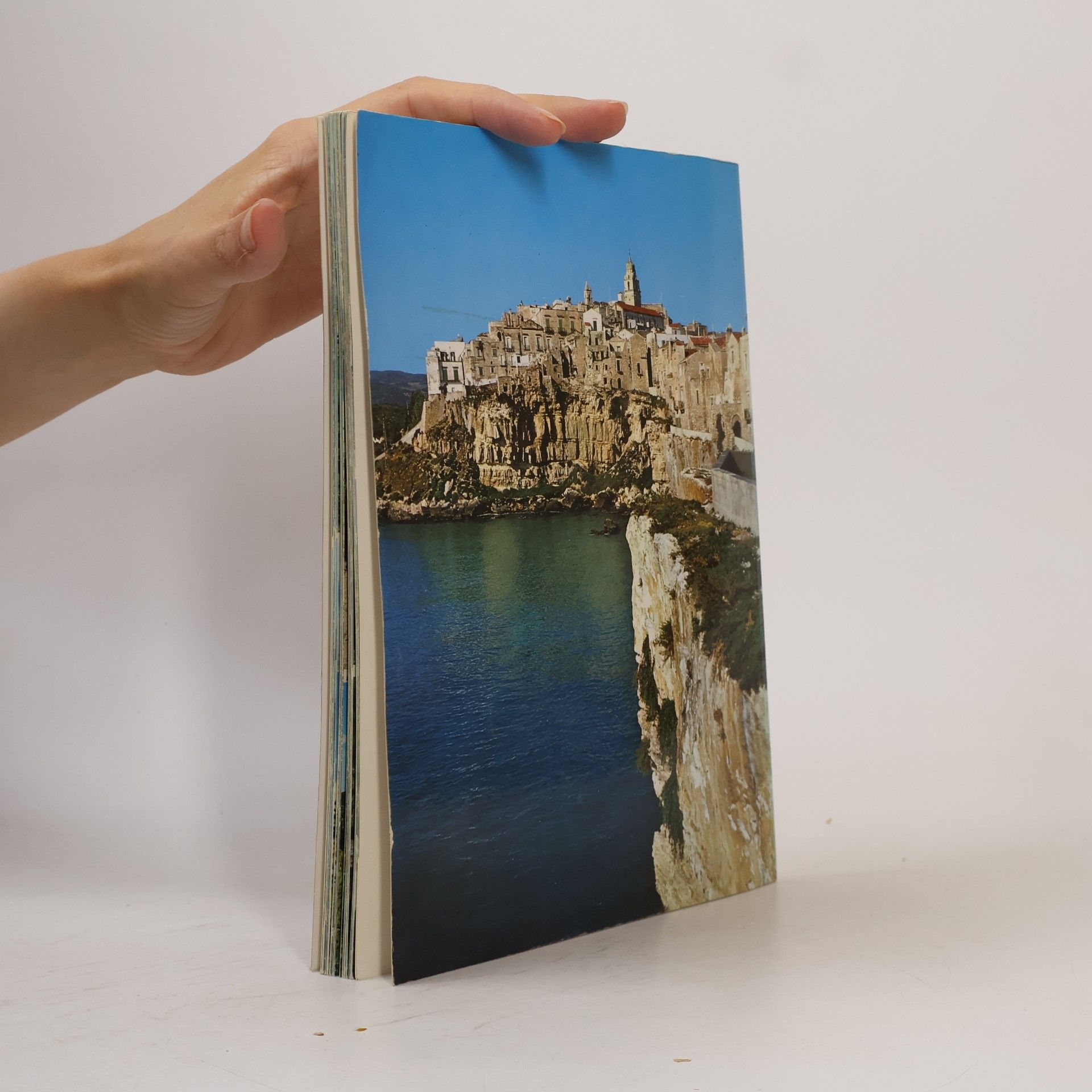 Collectif d'auteurs Guide souvenir del Gargano