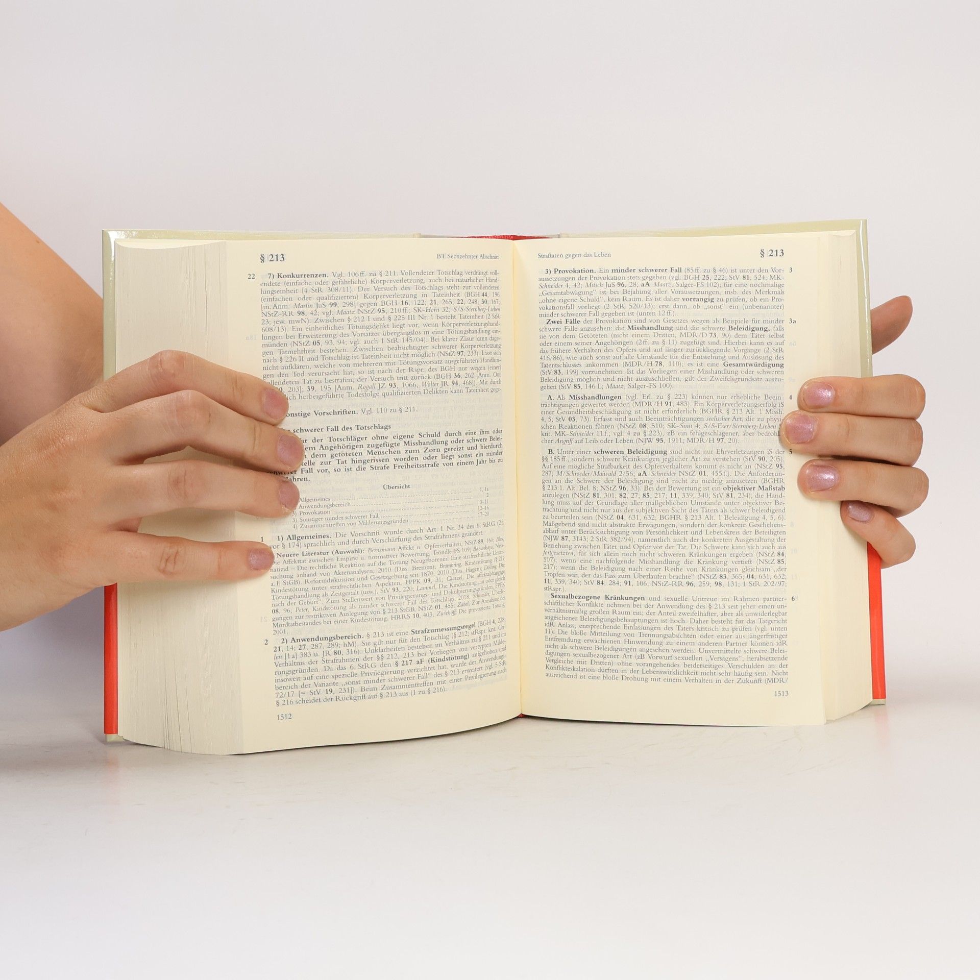 Thomas Fischer Strafgesetzbuch mit Nebengesetzen