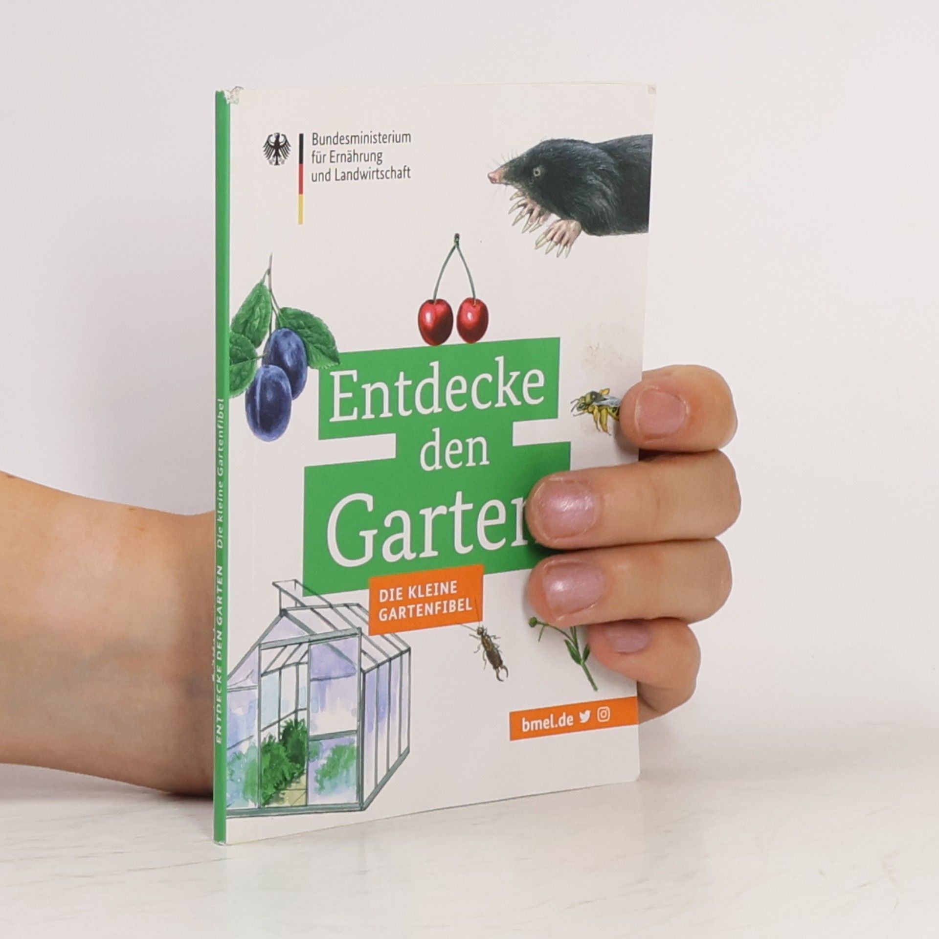 Johann Brandstetter Entdecke den Garten
